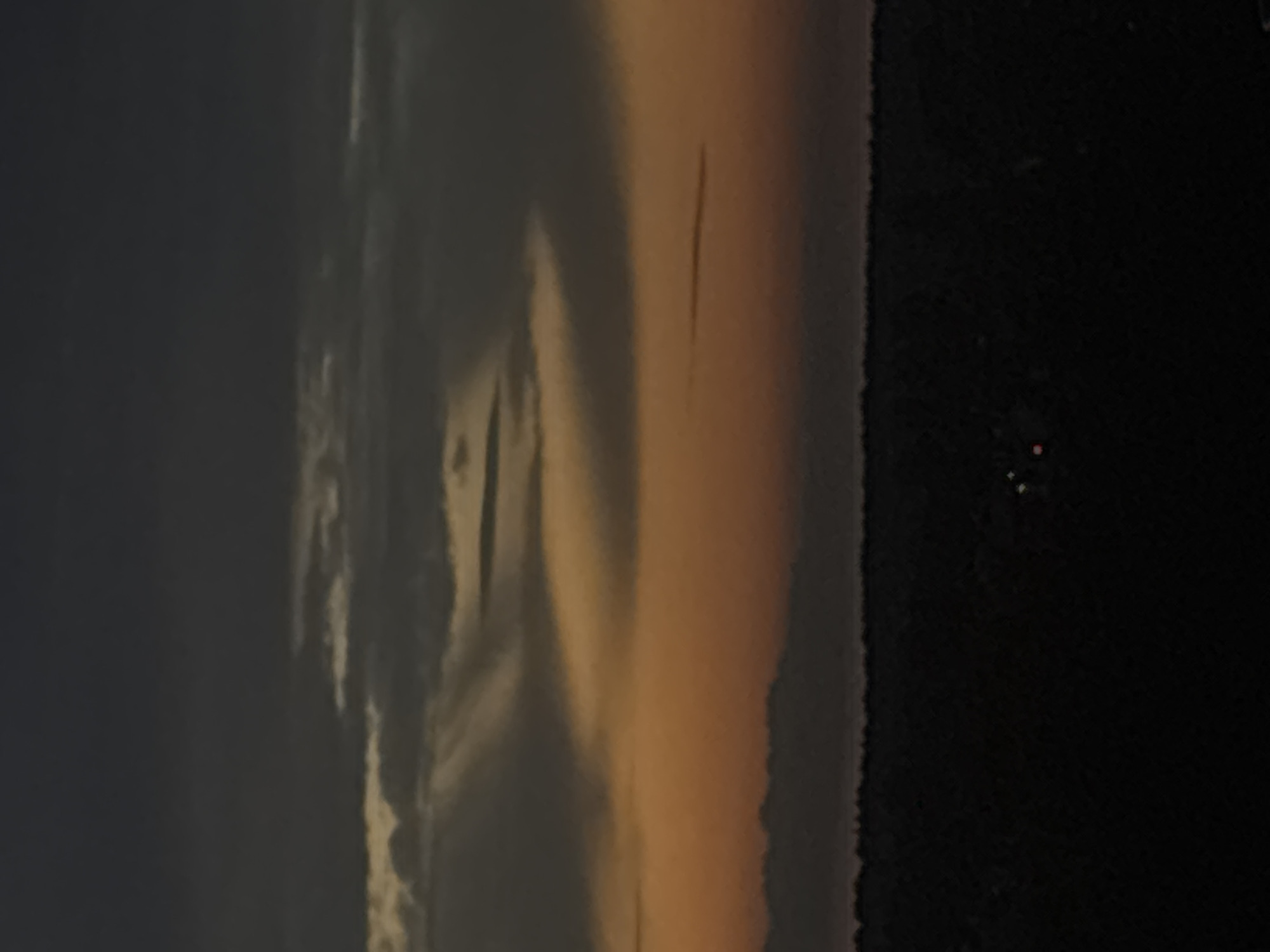 Dusk skyline and treeline silhouetted against an orange horizon