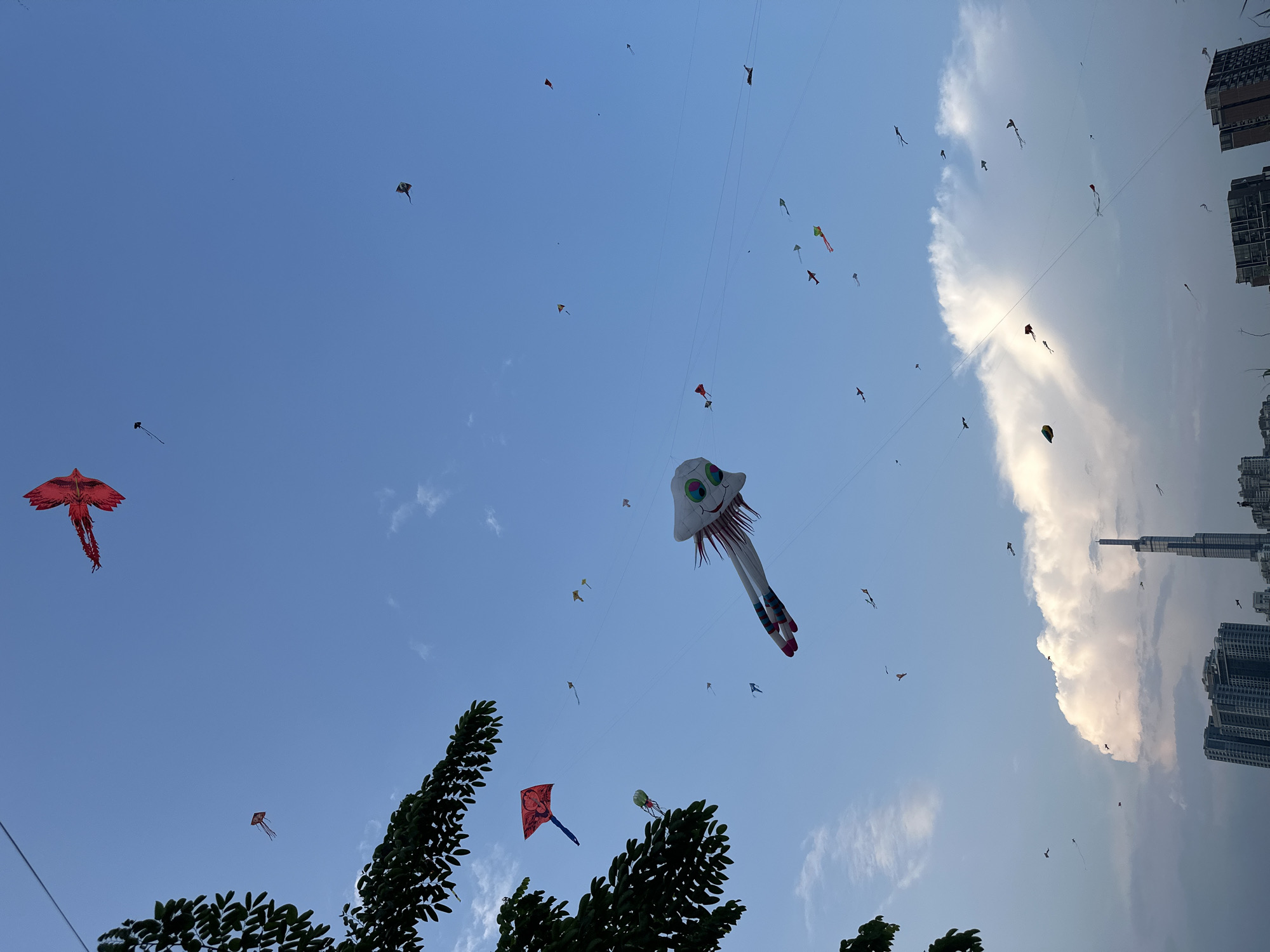 Kite festival draws crowds to Thủ Đức waterfront celebration