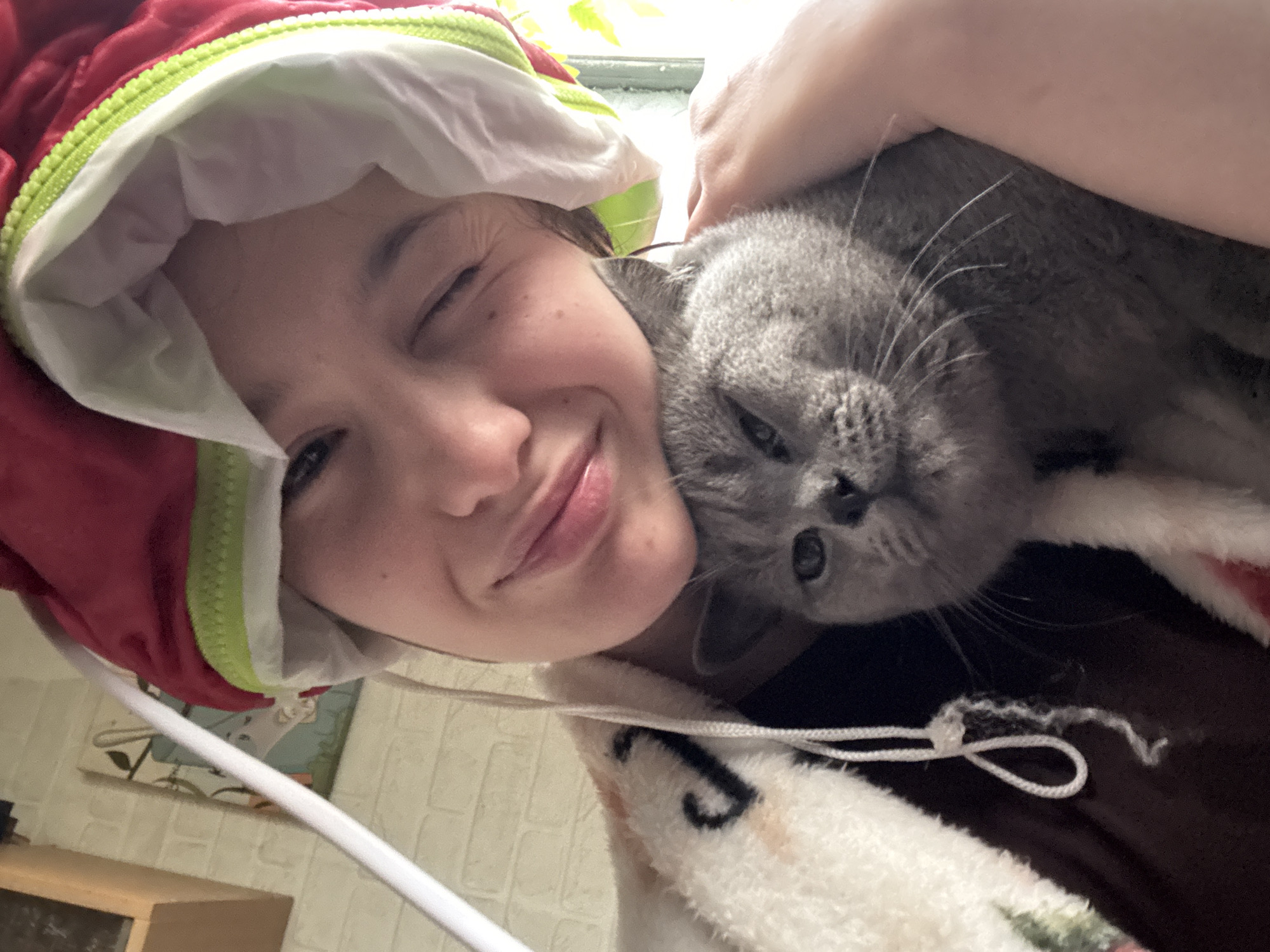 Woman shares affectionate moments with gray cat in Russia