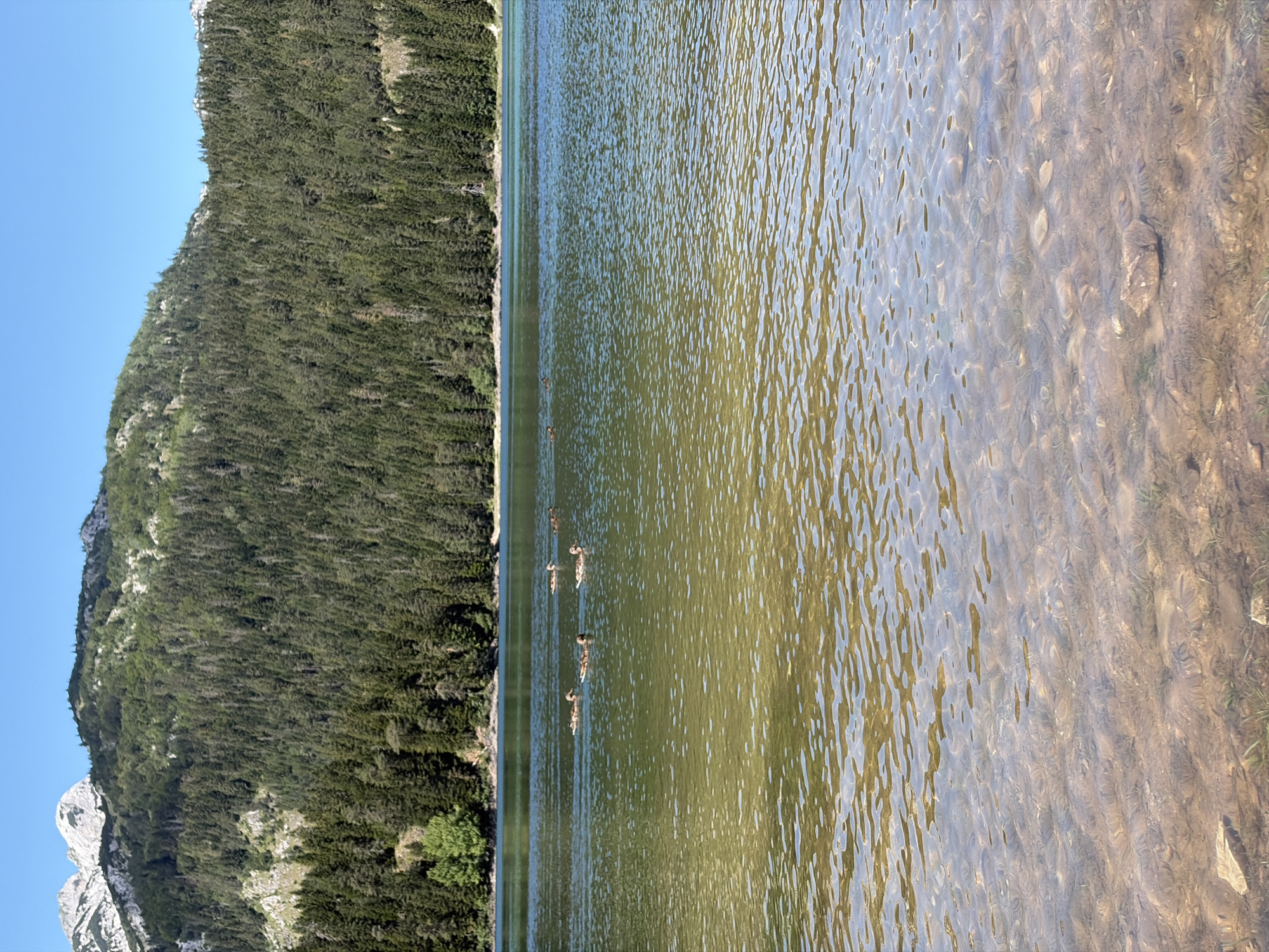 Morning at Black Lake, Durmitor National Park, Montenegro