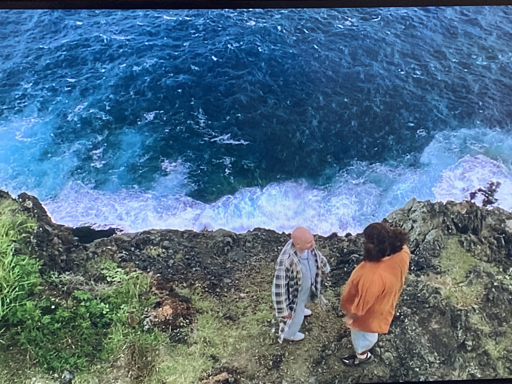 Saint Petersburg resident captures daily moments from cliffs to gardens