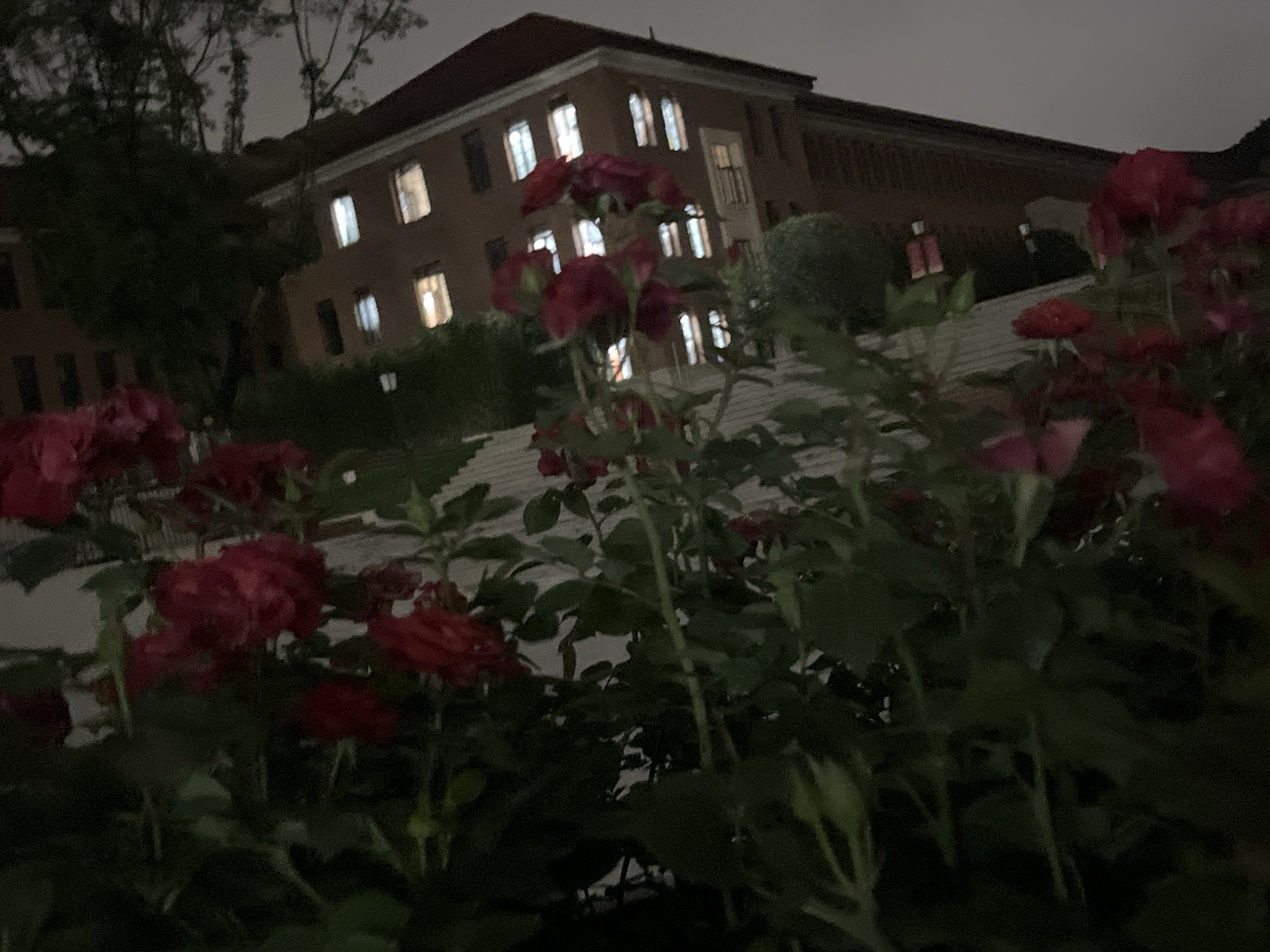 Nighttime journey documented across central Chongqing districts