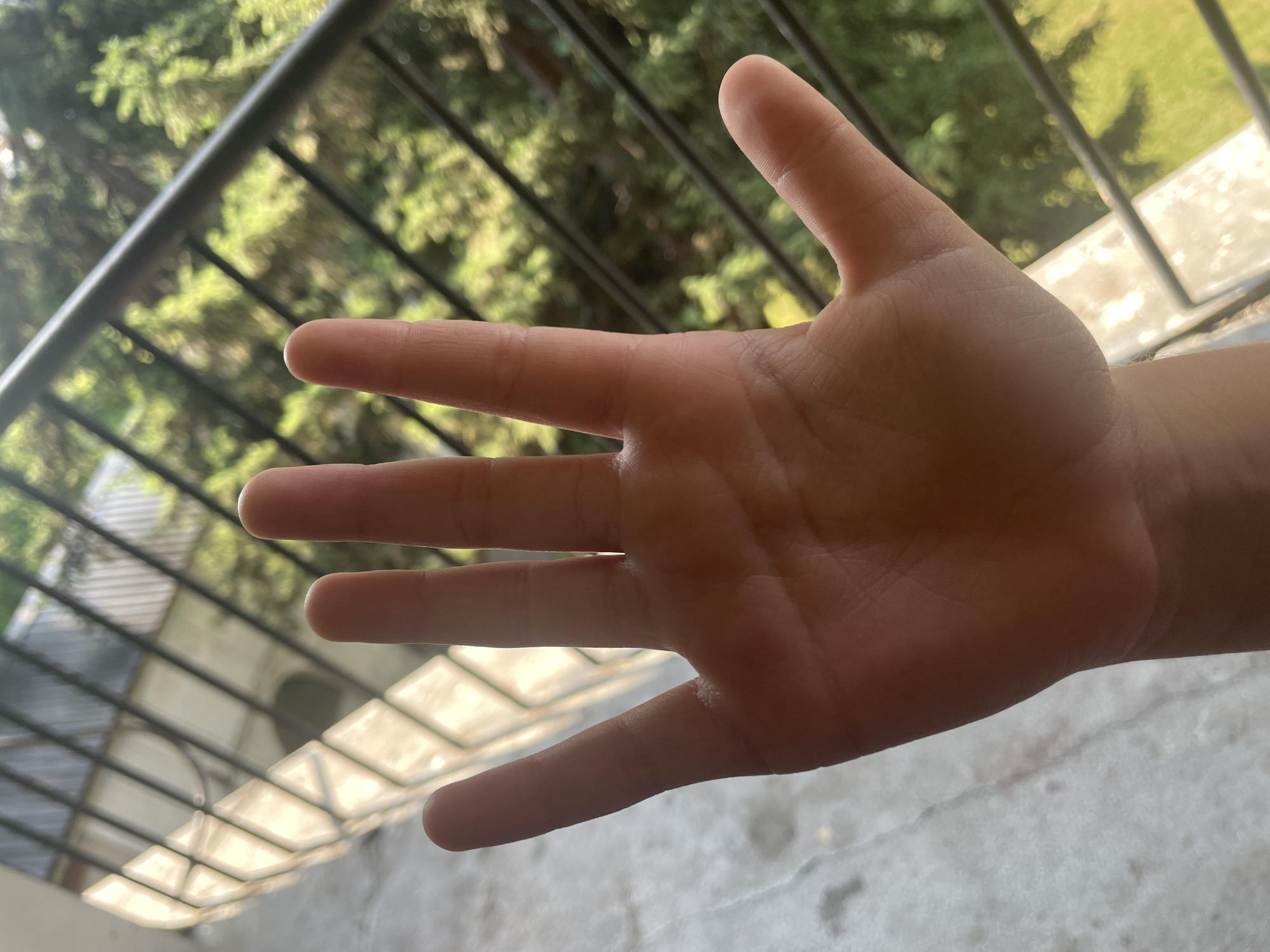 Balcony pigeons, a trashed fridge, and clinical details