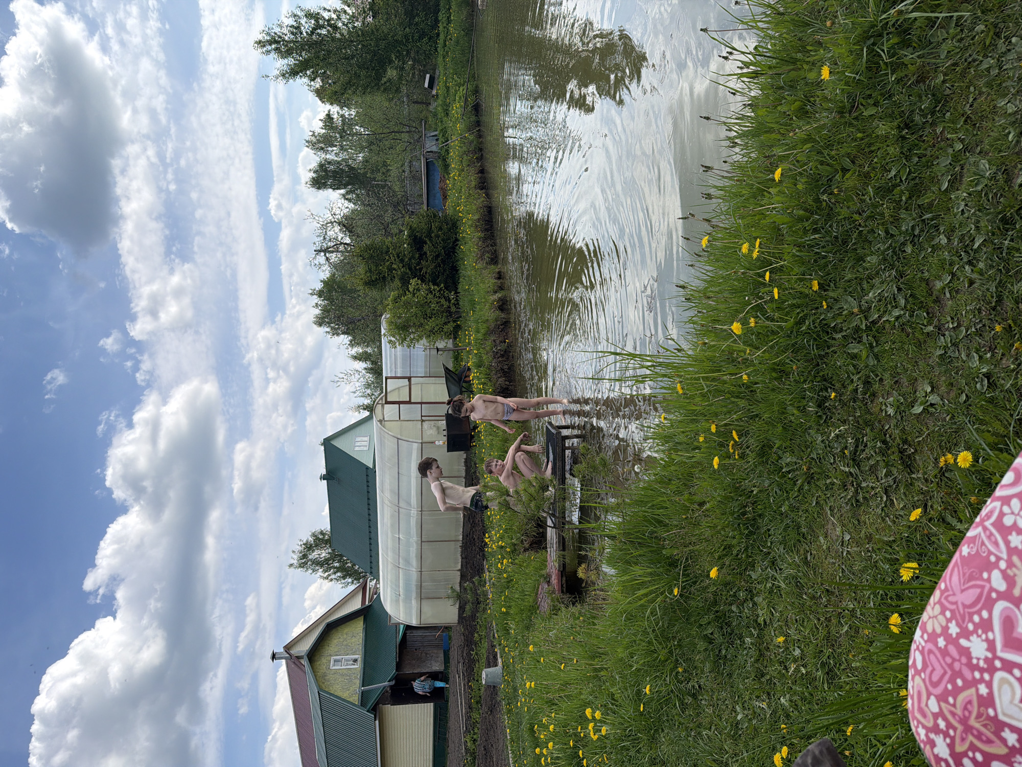 Children wade in pond in Zaprudnya, Russia