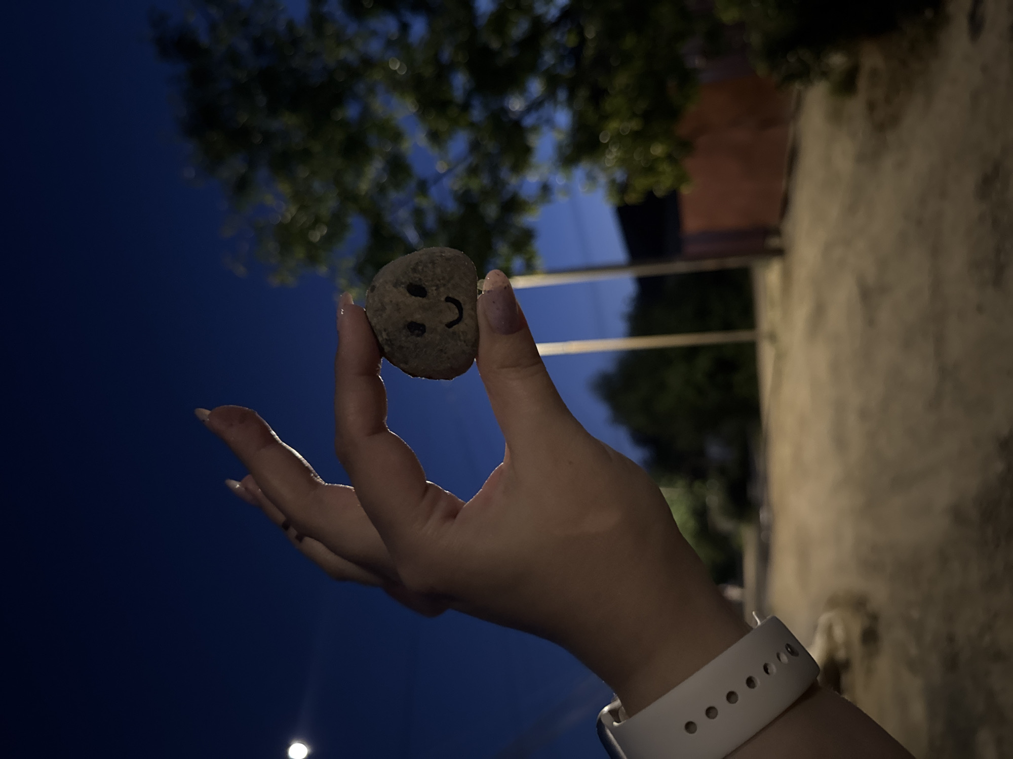 Smiley rocks, roses, and summer evenings in Mikhaylovsk