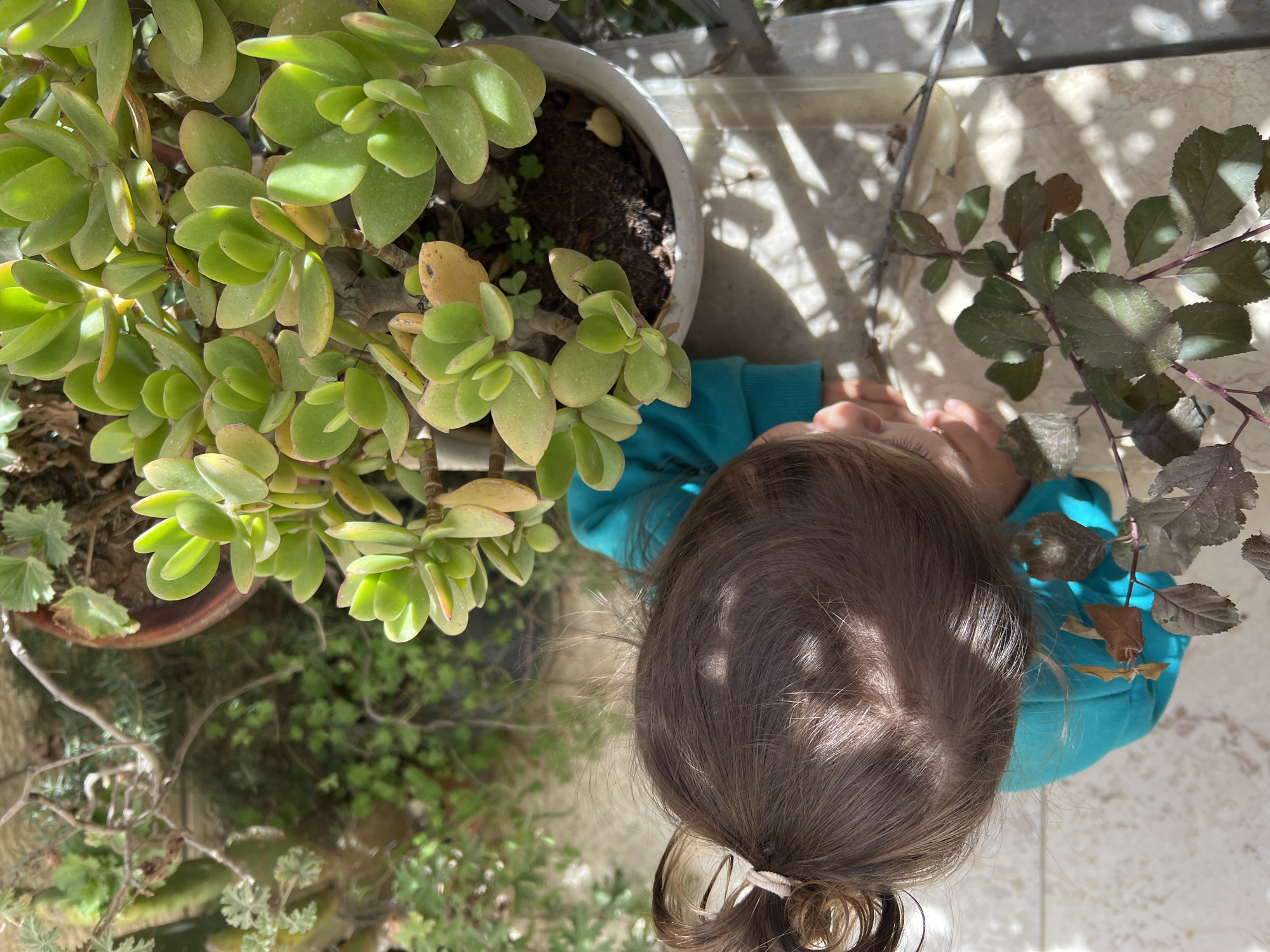 Child's morning activities captured in Jerusalem home settings