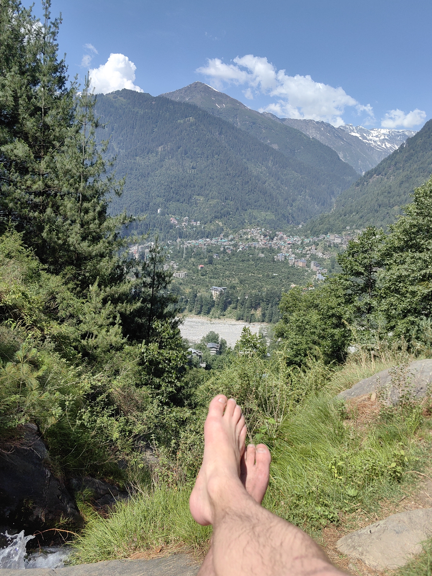 Morning forest walk documented in Vashisht valley, India