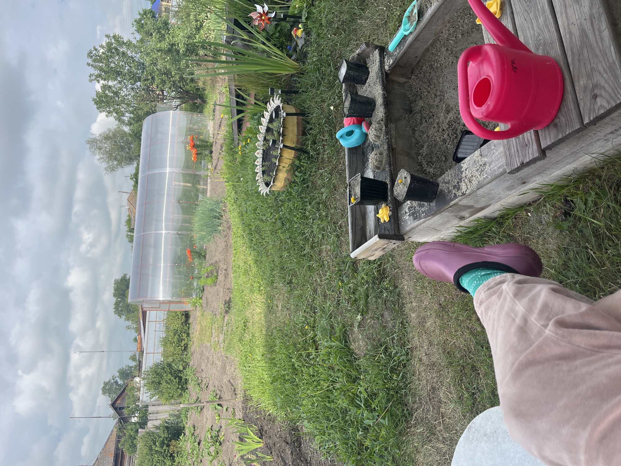 Morning garden scenes in Sukhrinskoye village, Russia