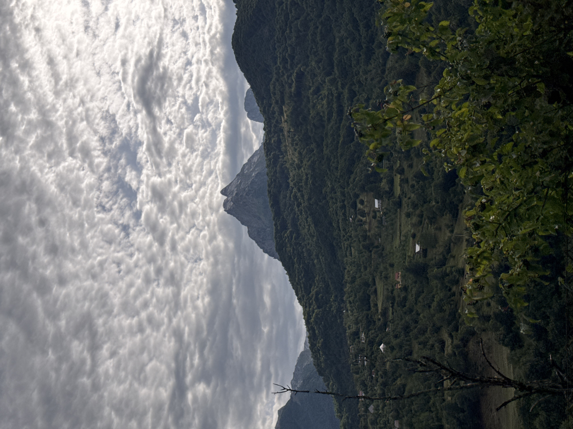 Dragovića Polje, Montenegro