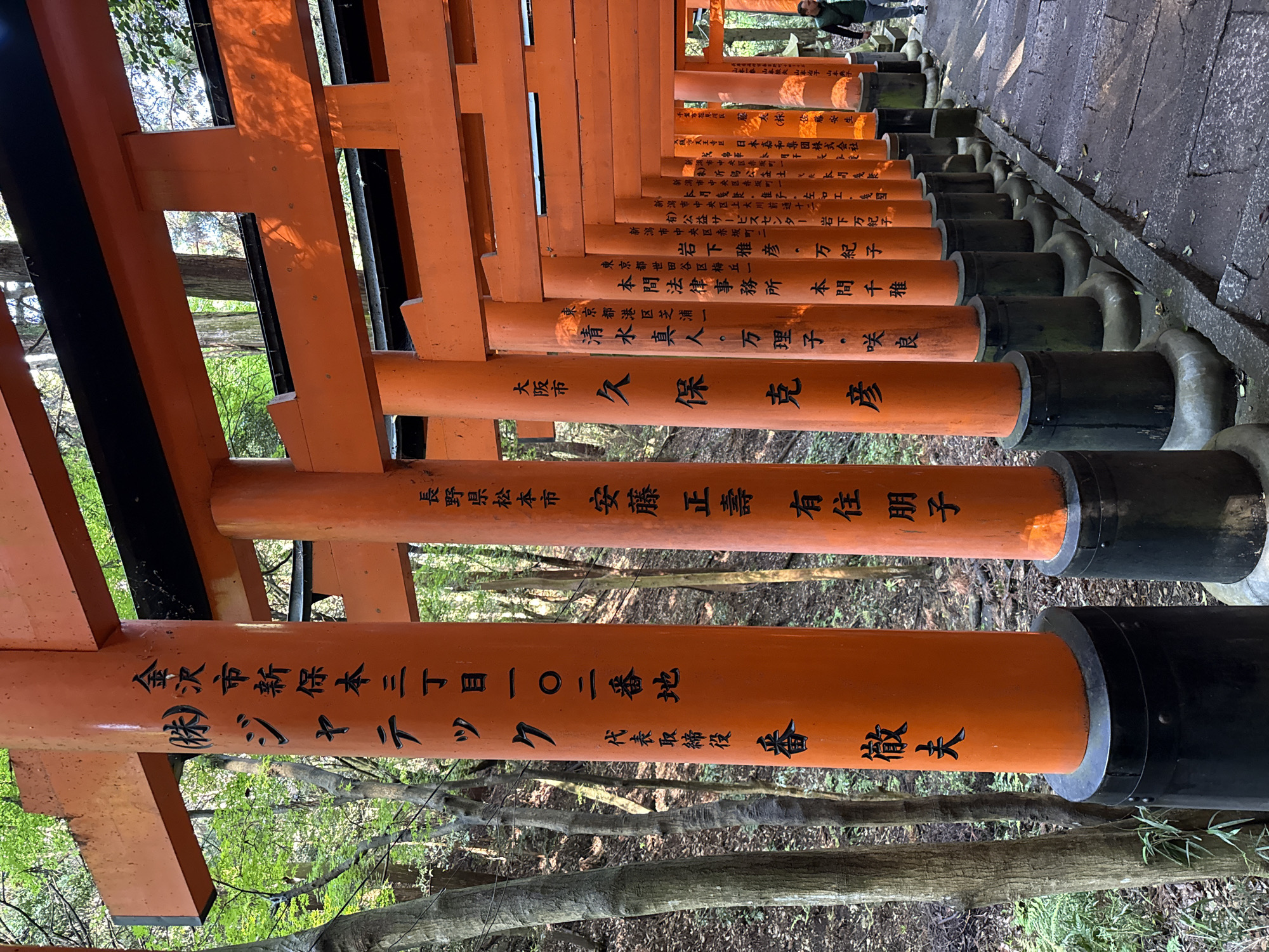 Tourist captures classic tunnel view at Kyoto's Fushimi Inari shrine