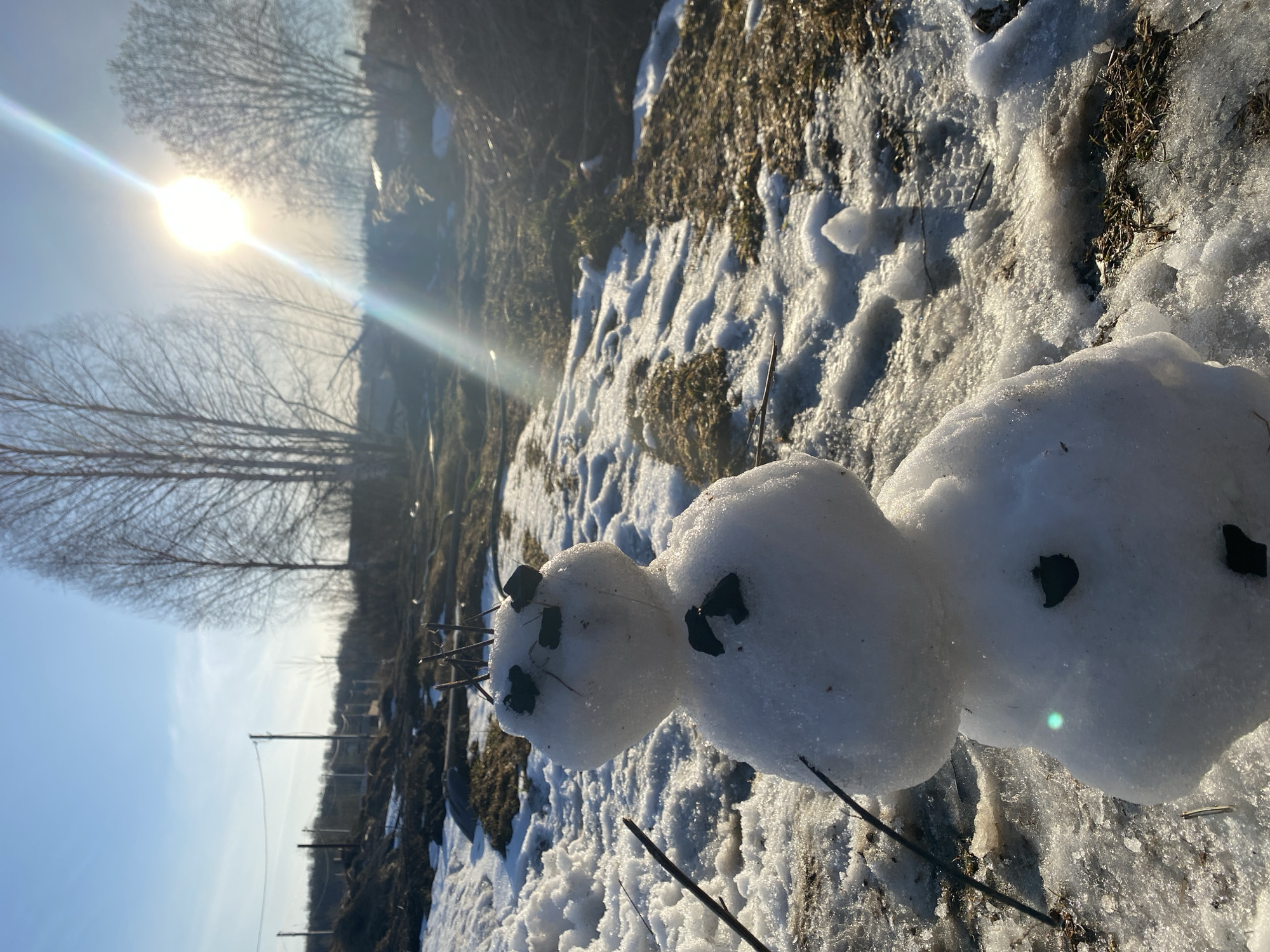 Spring scenes and household curiosities documented across Izhevsk