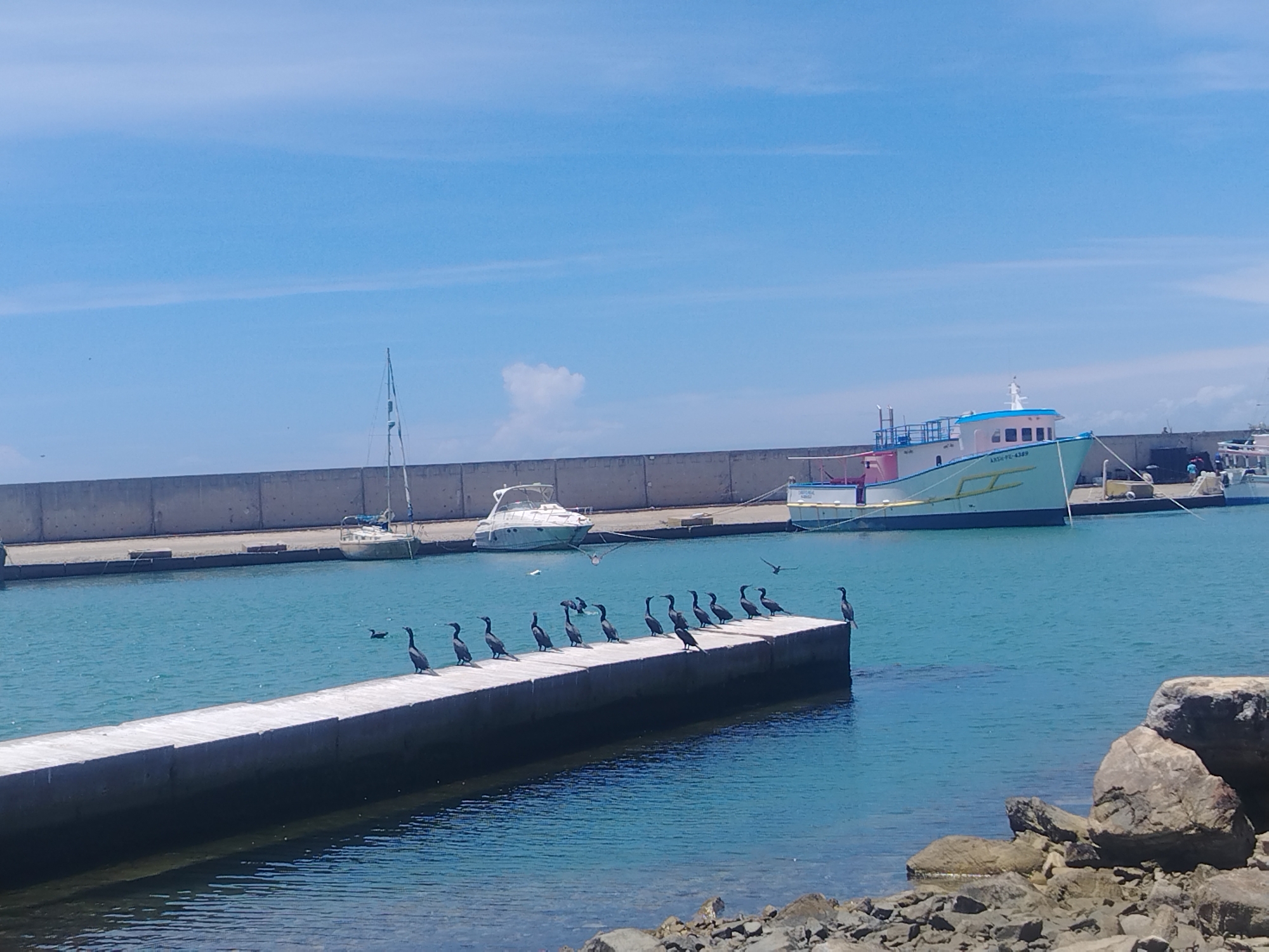 Porlamar harbor on a clear afternoon, boats and waterfront