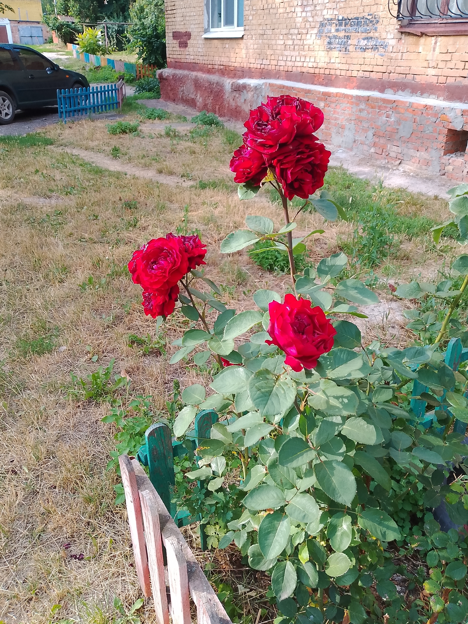 Chernihiv, Ukraine