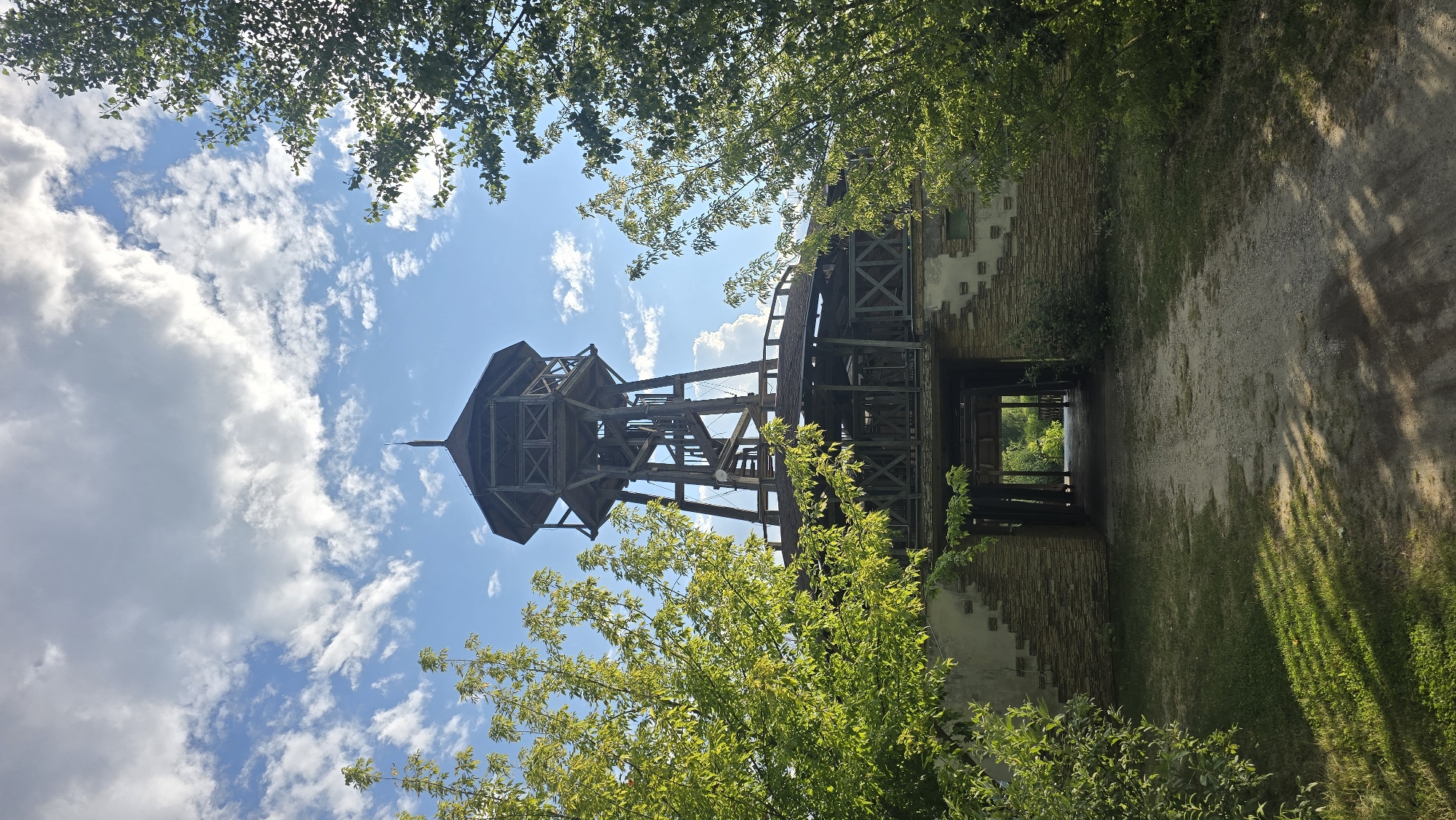 Wildlife on a golf course near a city observation tower