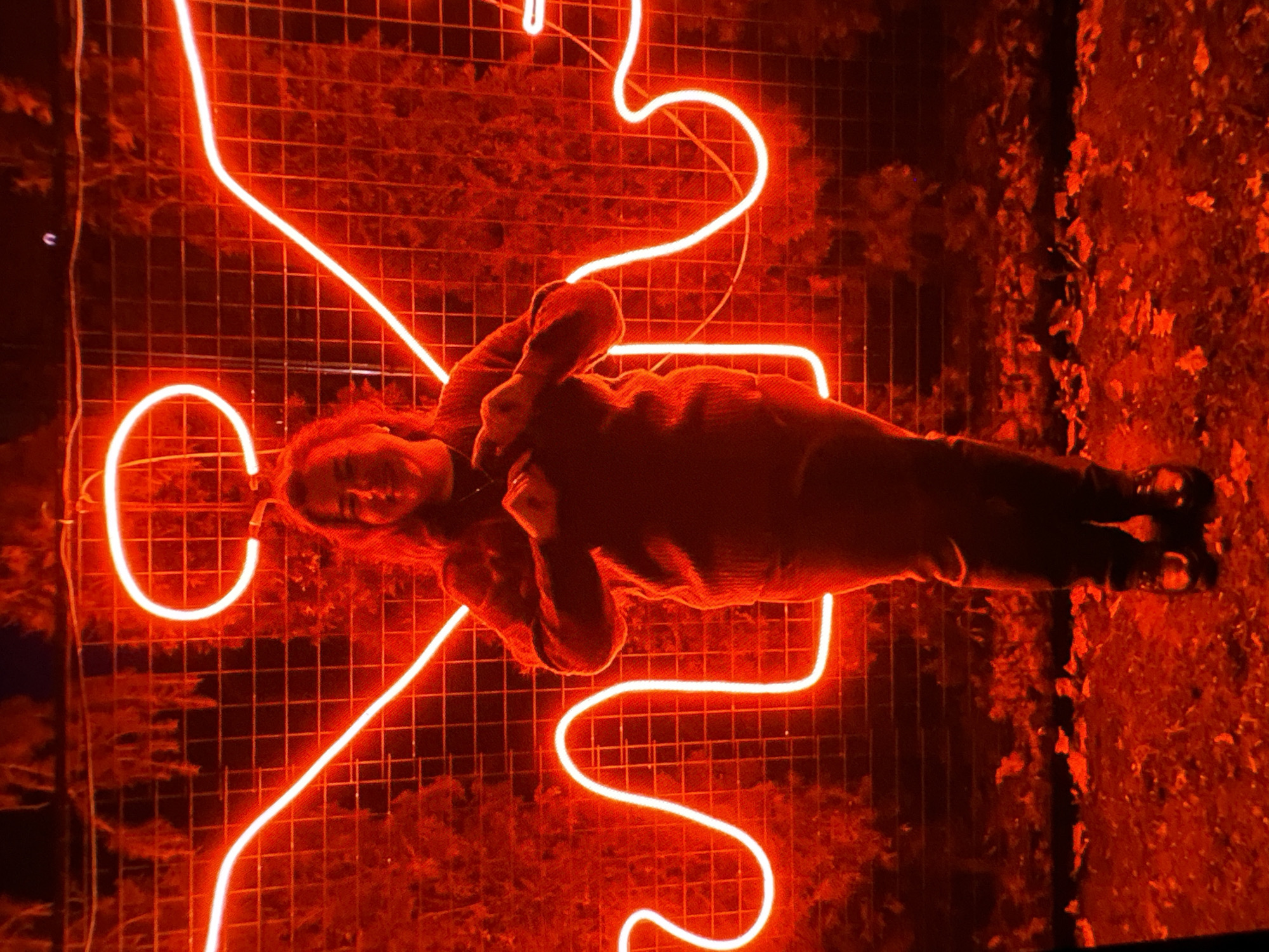 Neon angel wings and a geodesic dome evening