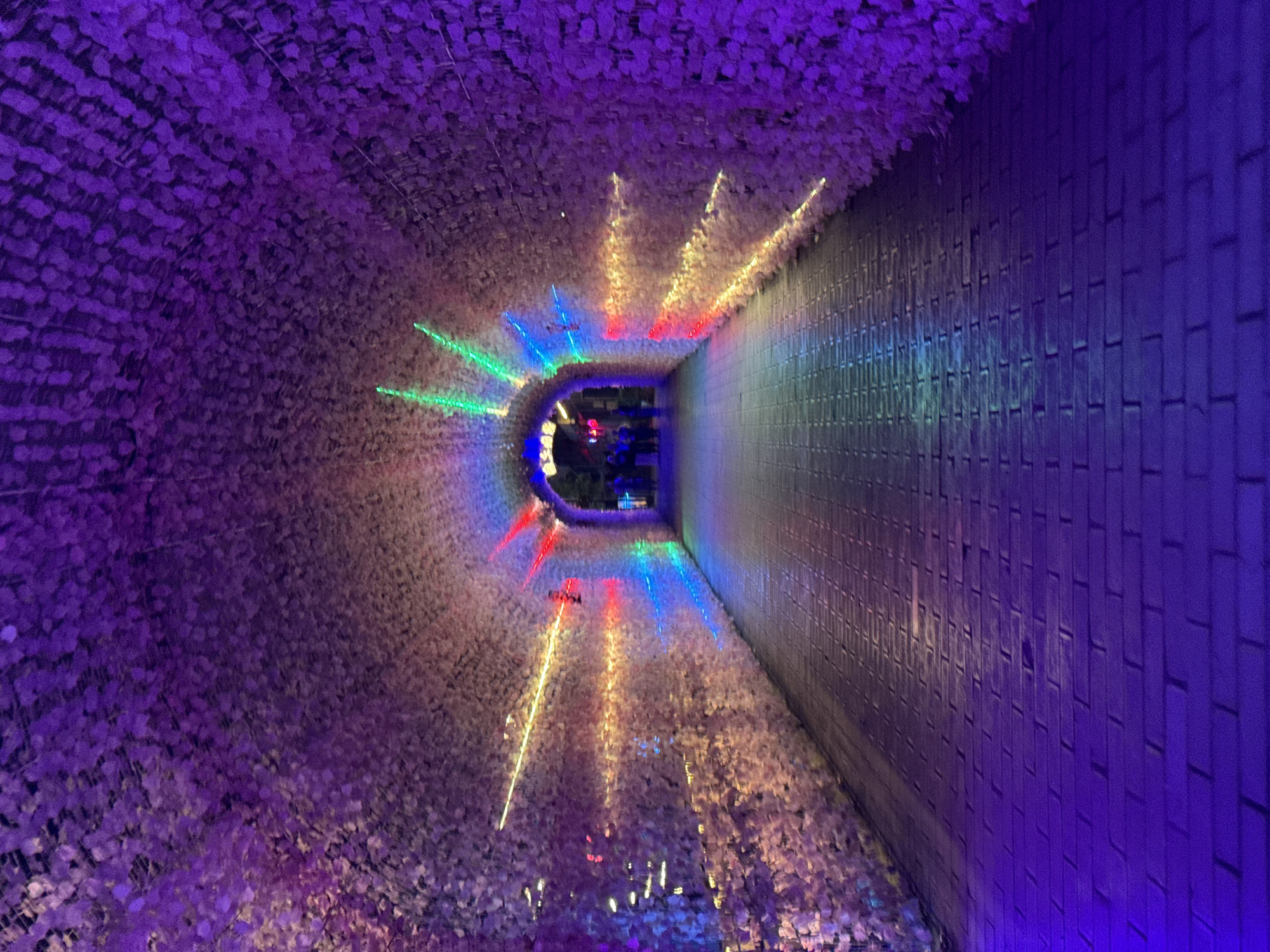 Flower-covered illuminated tunnel draws visitors in Wulingyuan, China