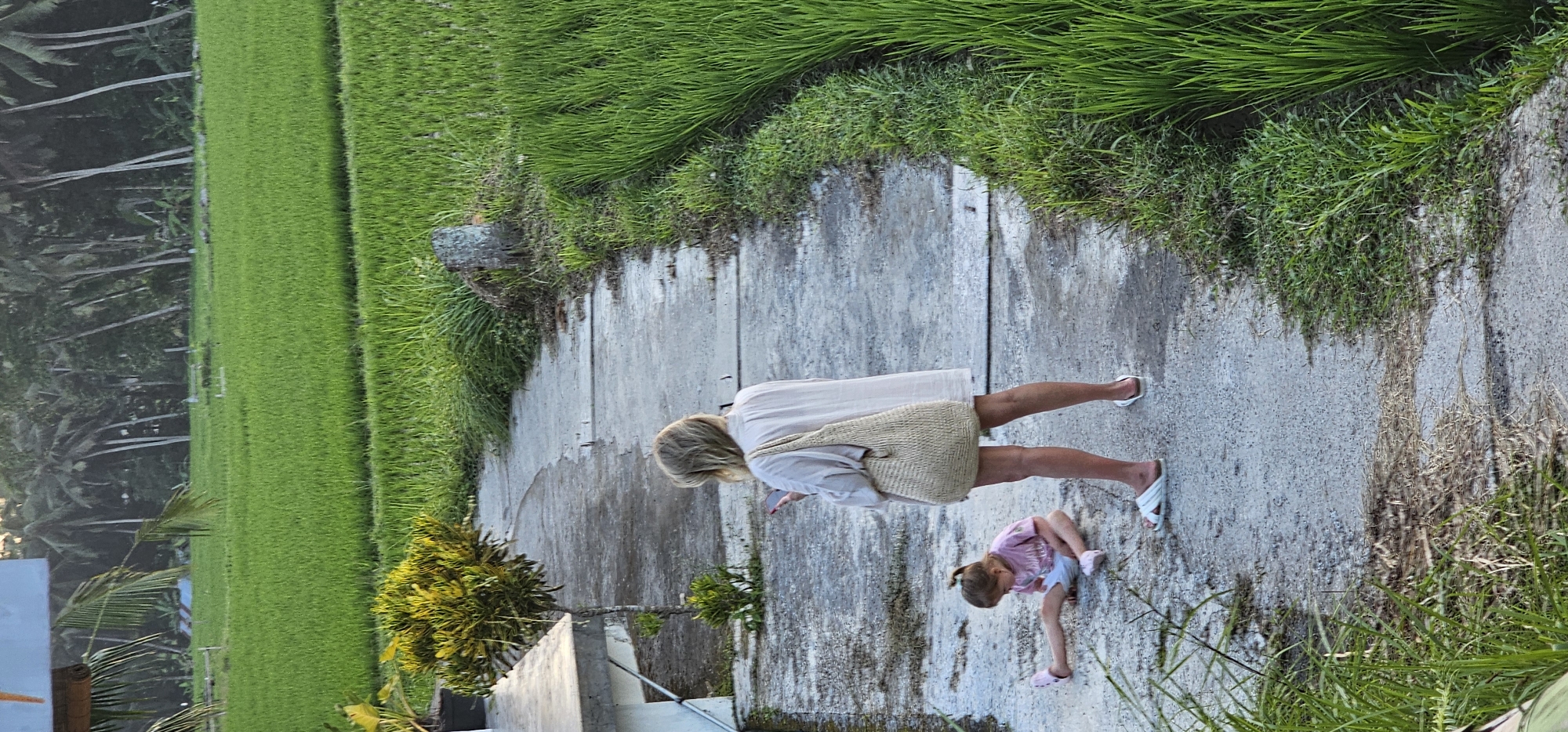 Tourist documents Tegallalang rice terraces and daily life scenes
