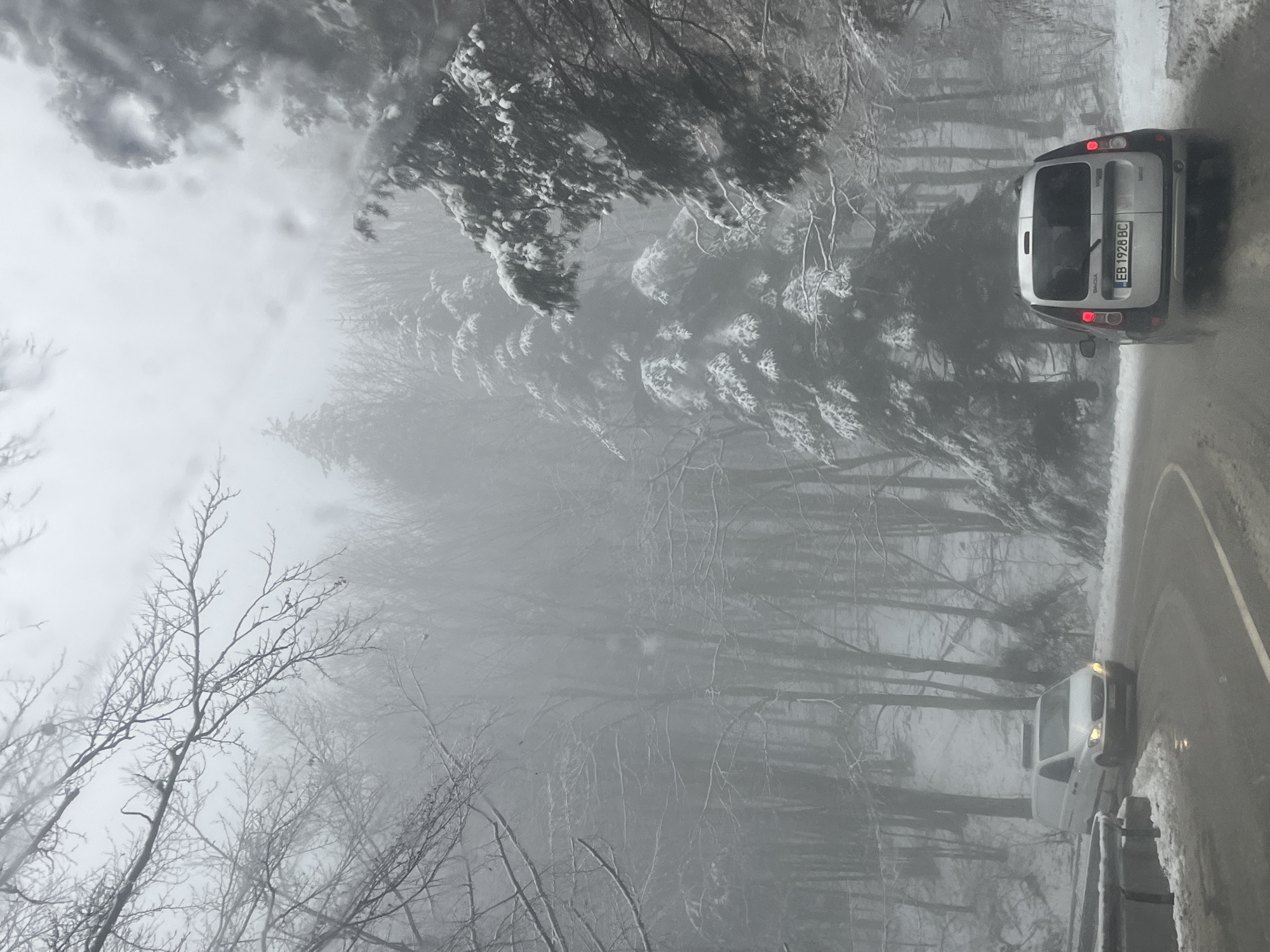Van navigates snowy, foggy road in Bulgarian countryside