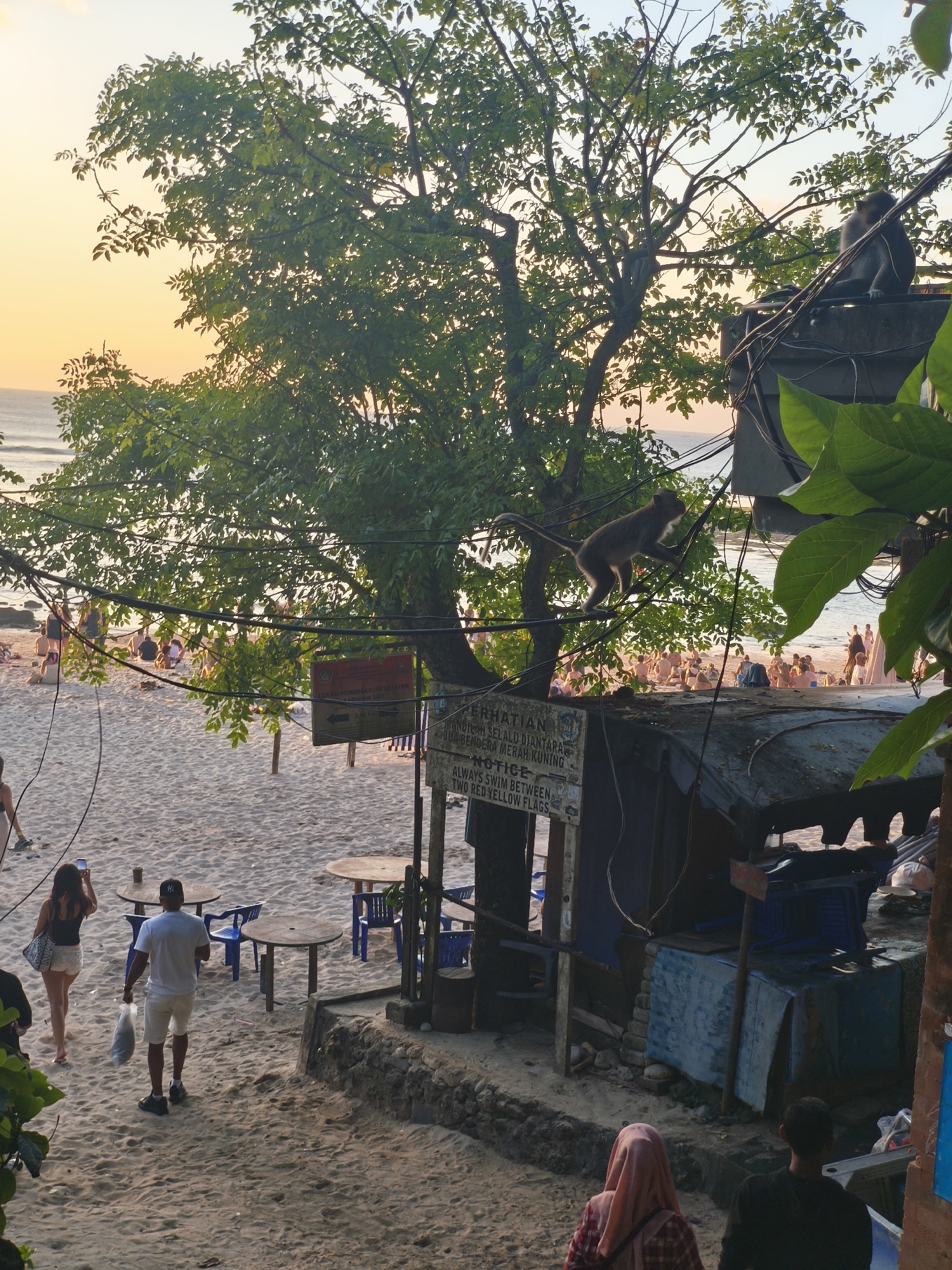 Bali clifftop beach at sunset: crowds, macaques, and golden light