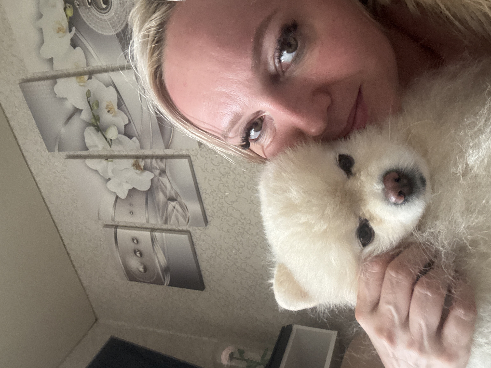 Pomeranian and owner share a lazy afternoon in bed