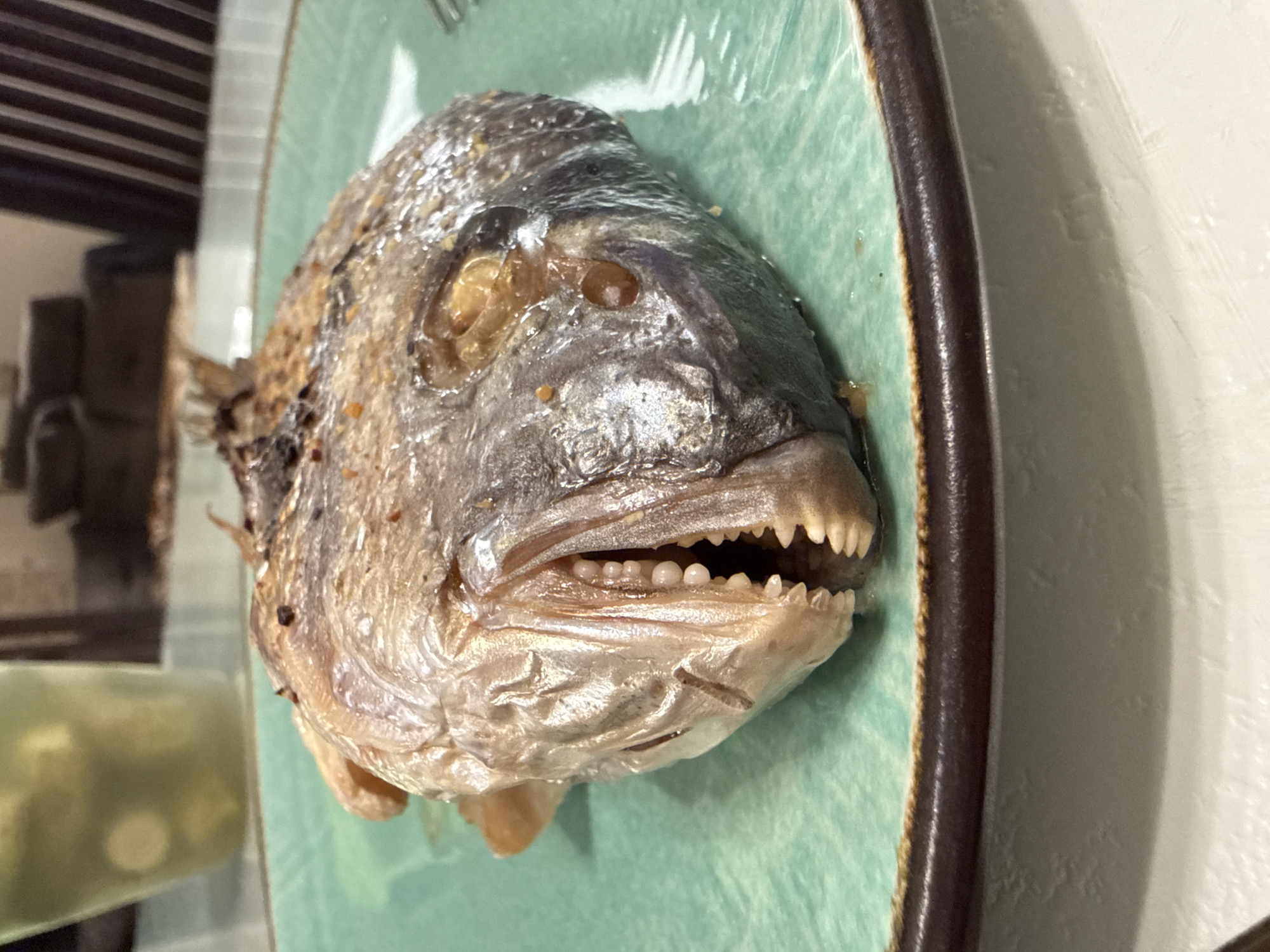 Fish lunch, a yawning cat, and selfies in Odesa