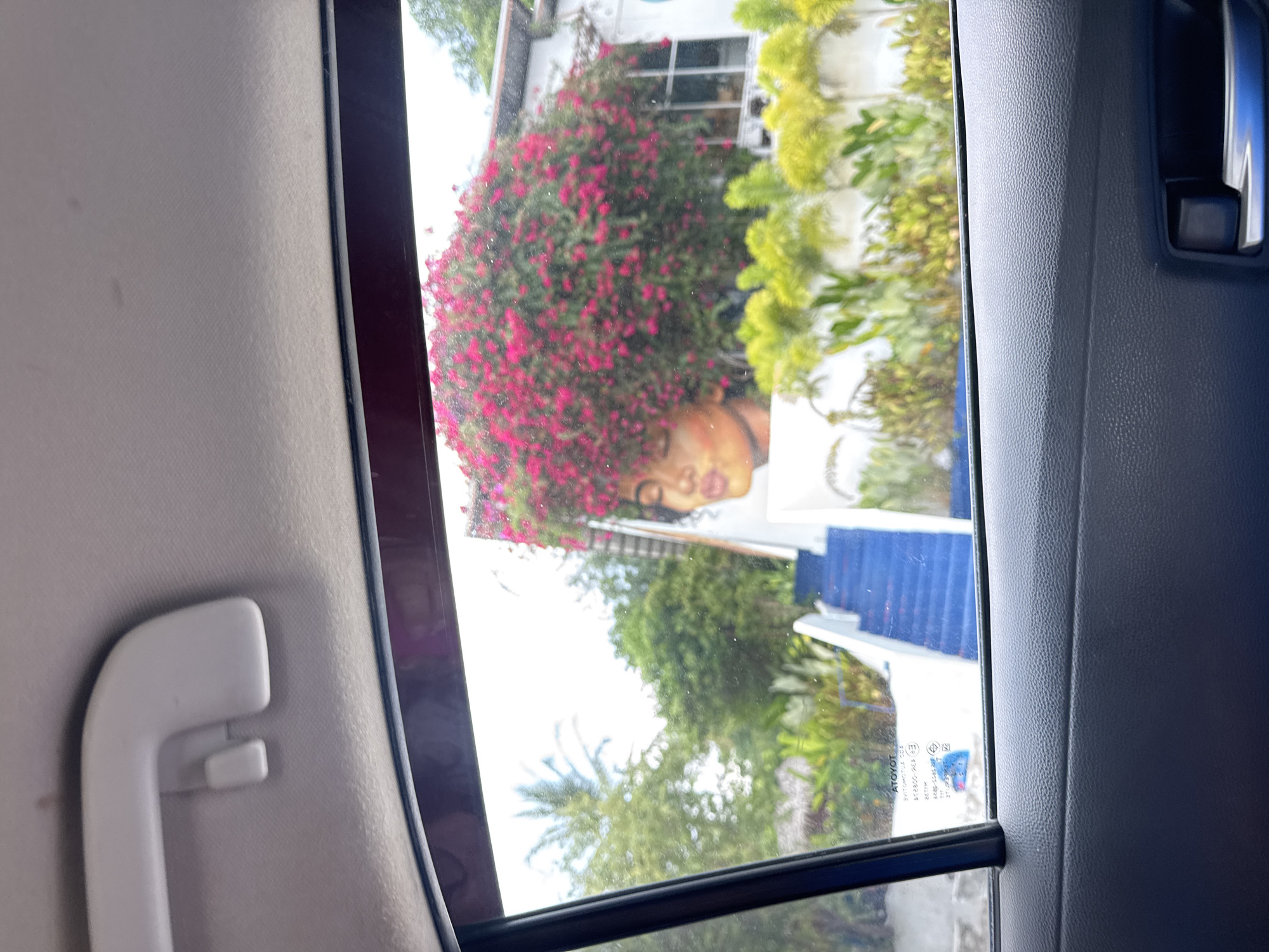 Early morning sightseeing captures Chalong murals, architecture, Tiger Park