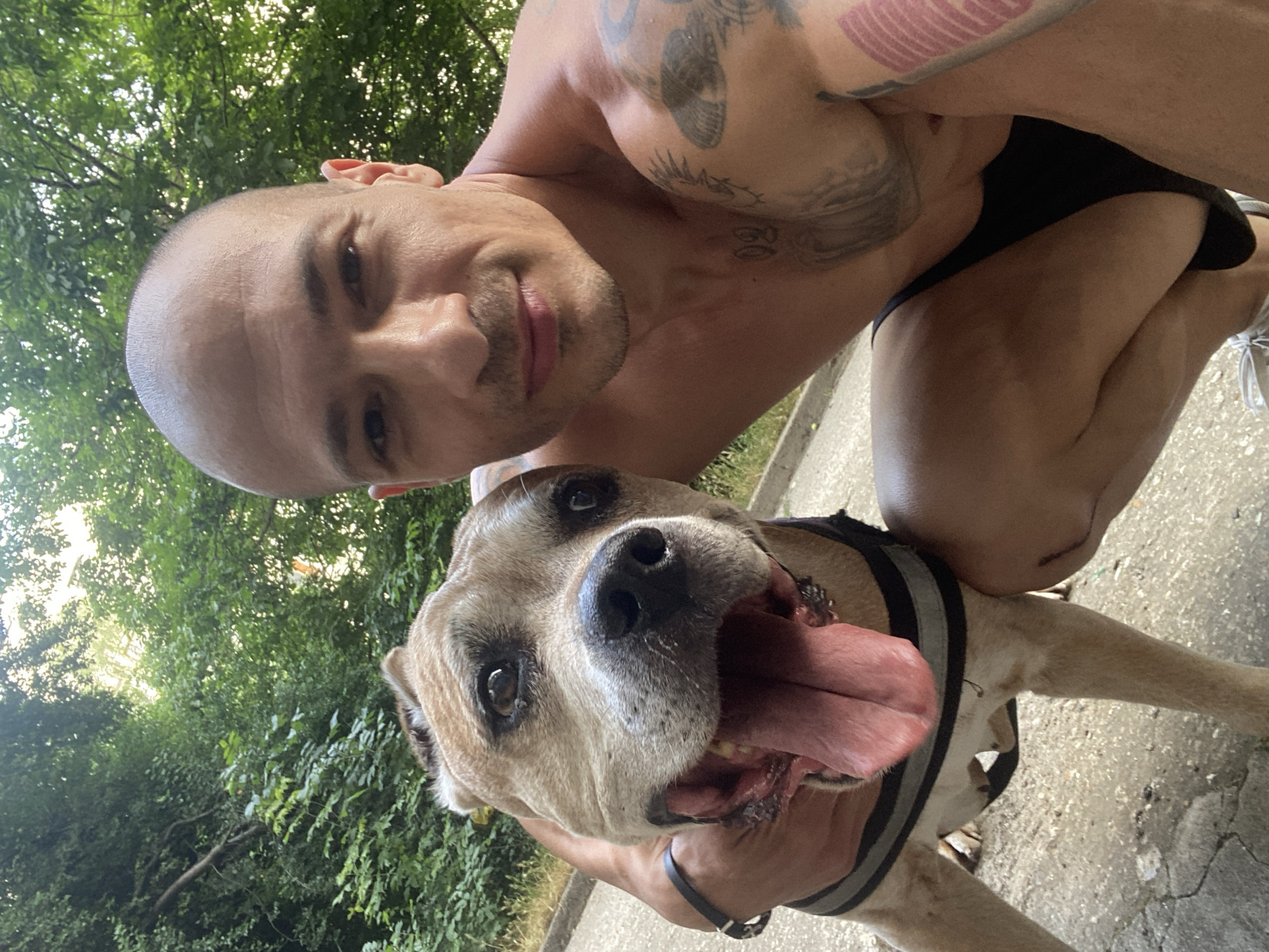 Tattooed afternoon in a Pleven park with a dog