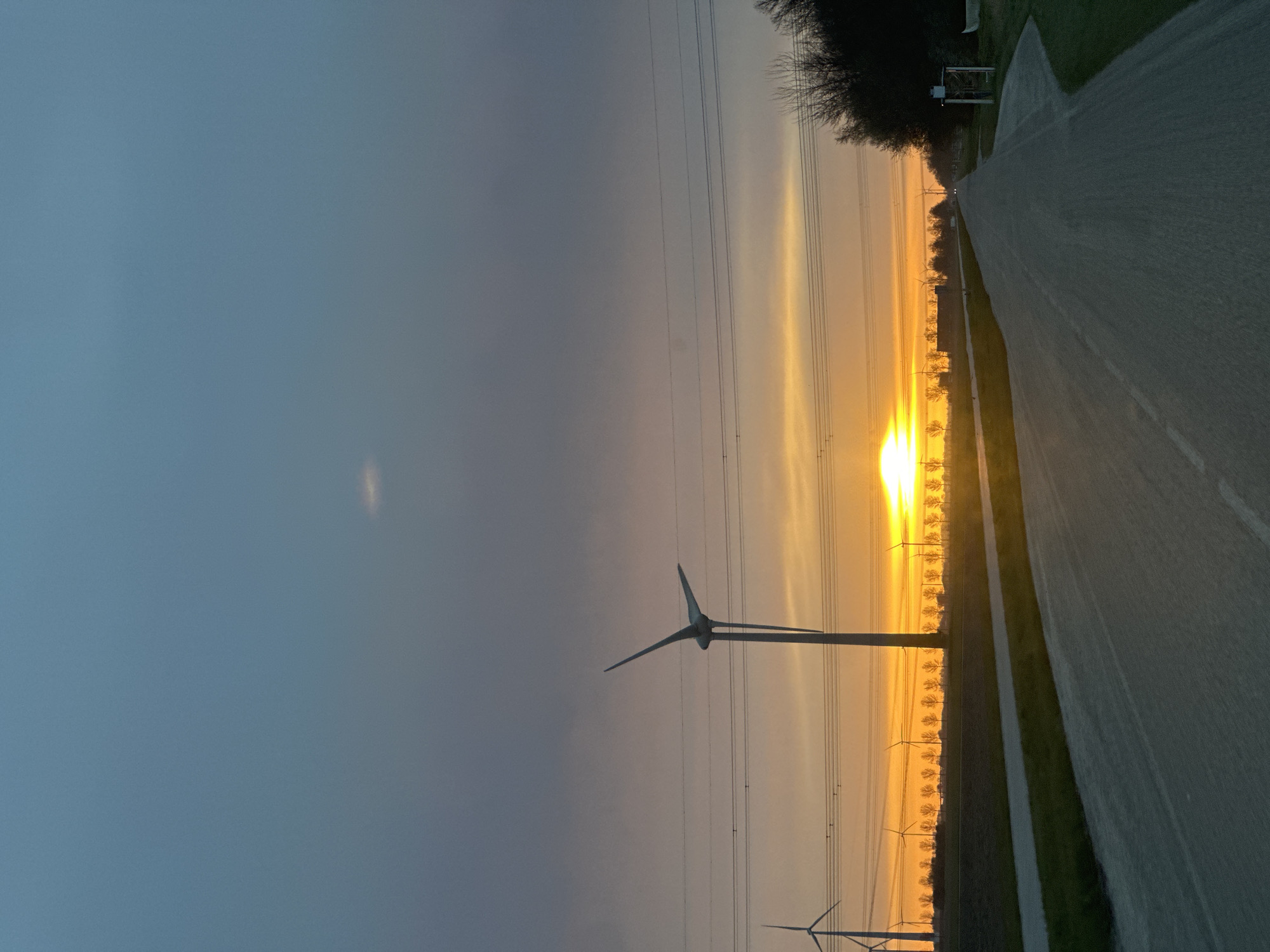 Sunrise landscape captured near Lelystad with fields and trees