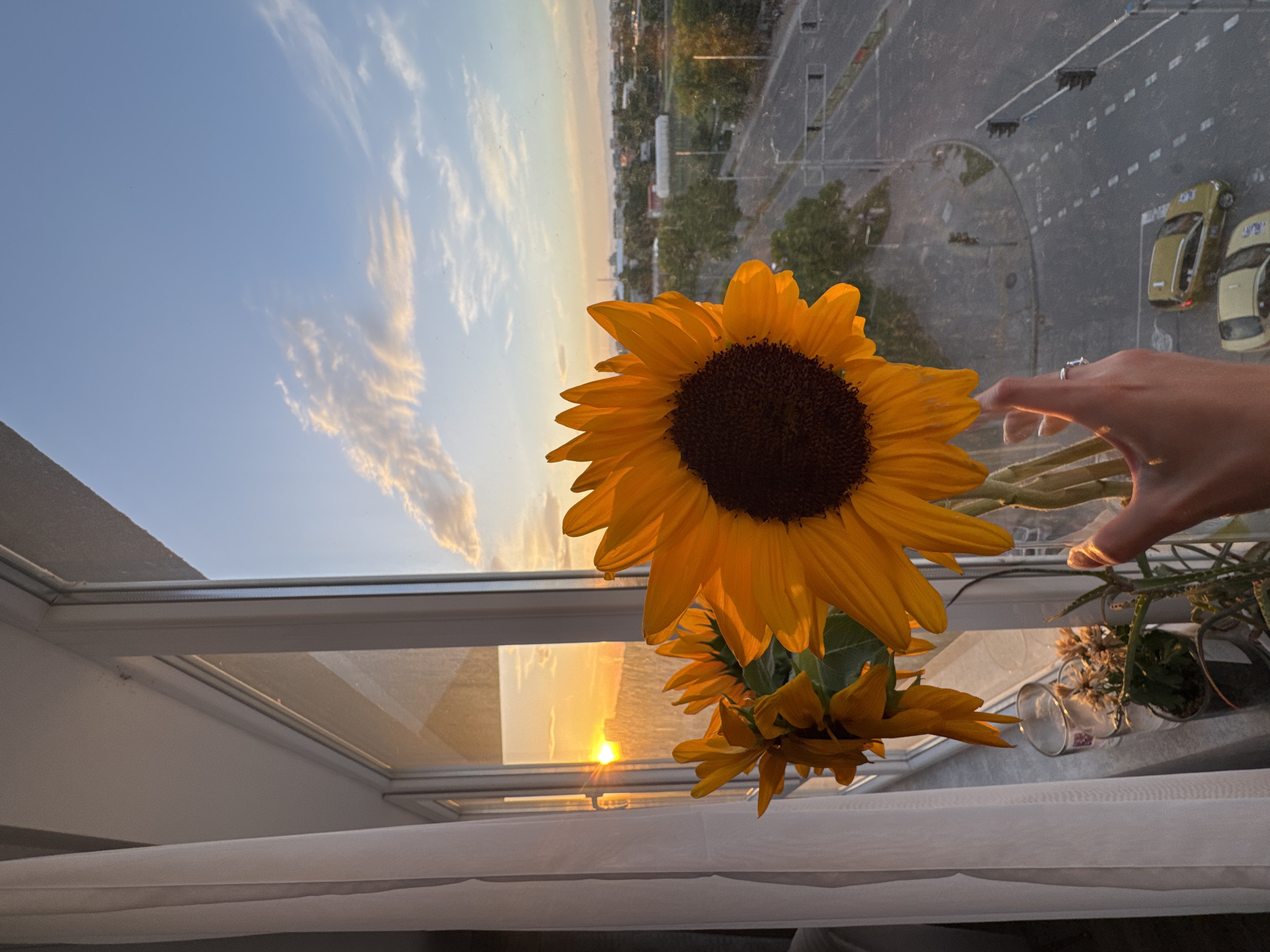 Quiet evening at home documented in Plovdiv apartment