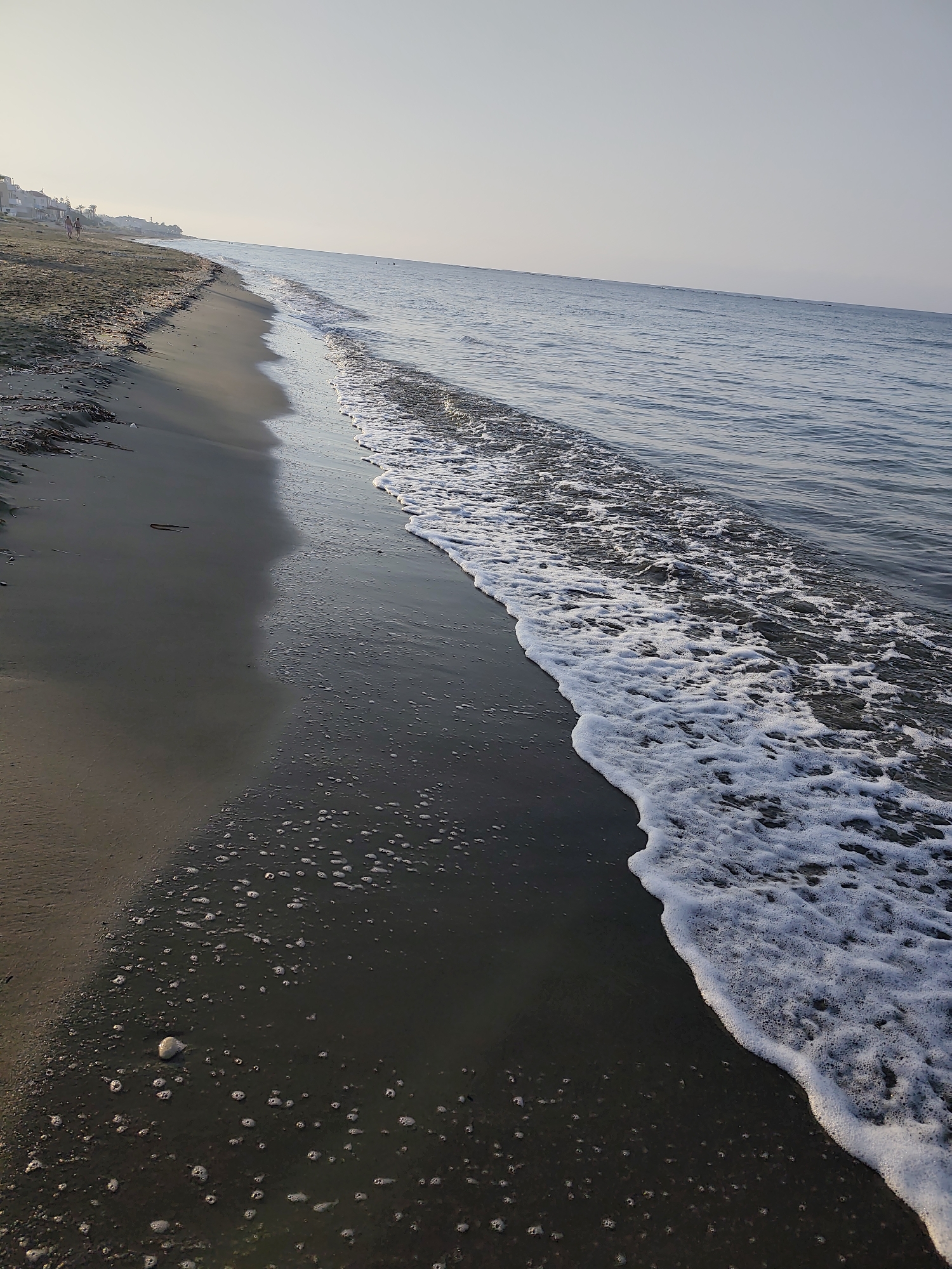 Calm shoreline moment at Meneou Beach, Cyprus
