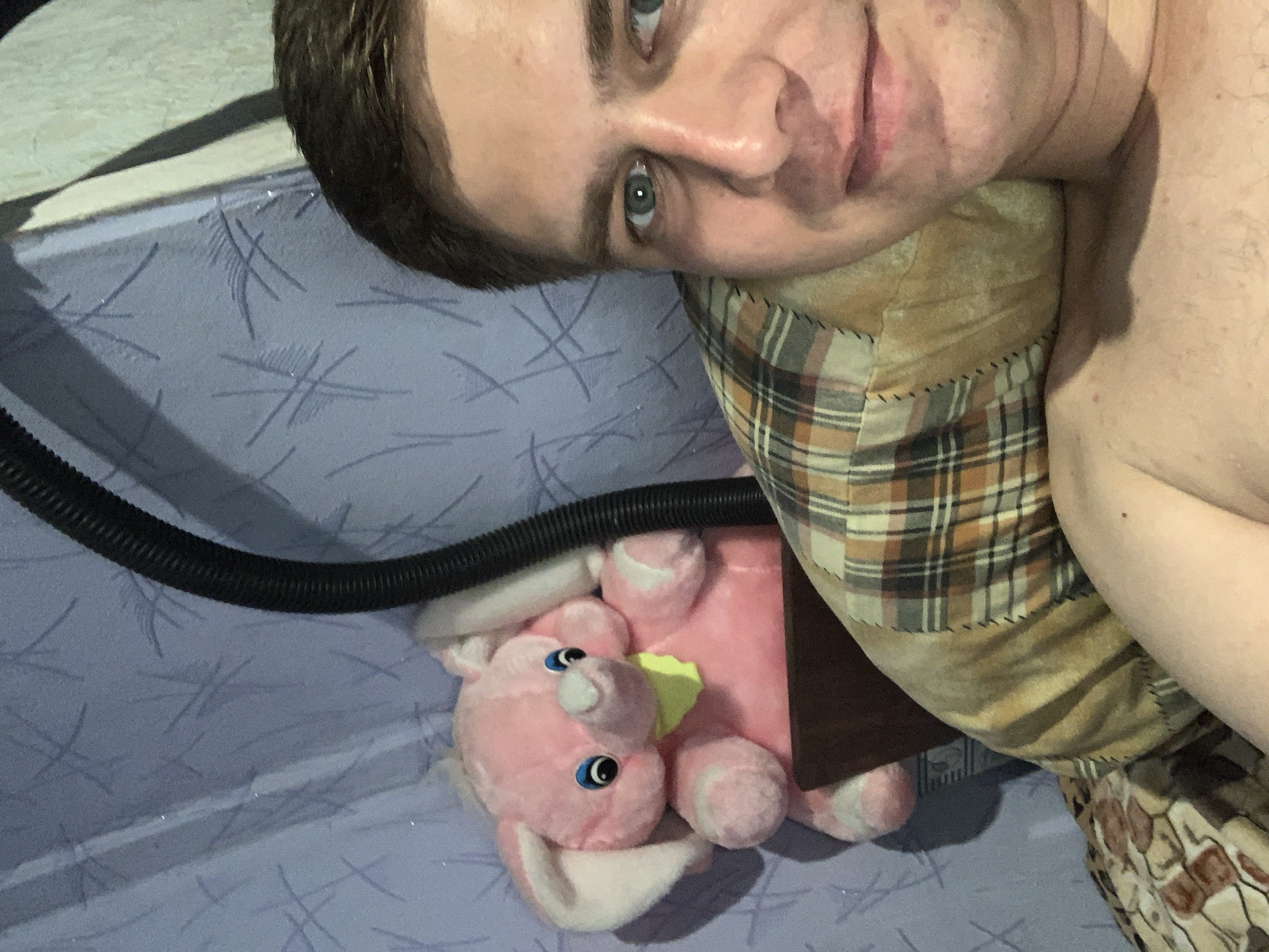 Late-night selfie session on a plaid pillow with a pink elephant