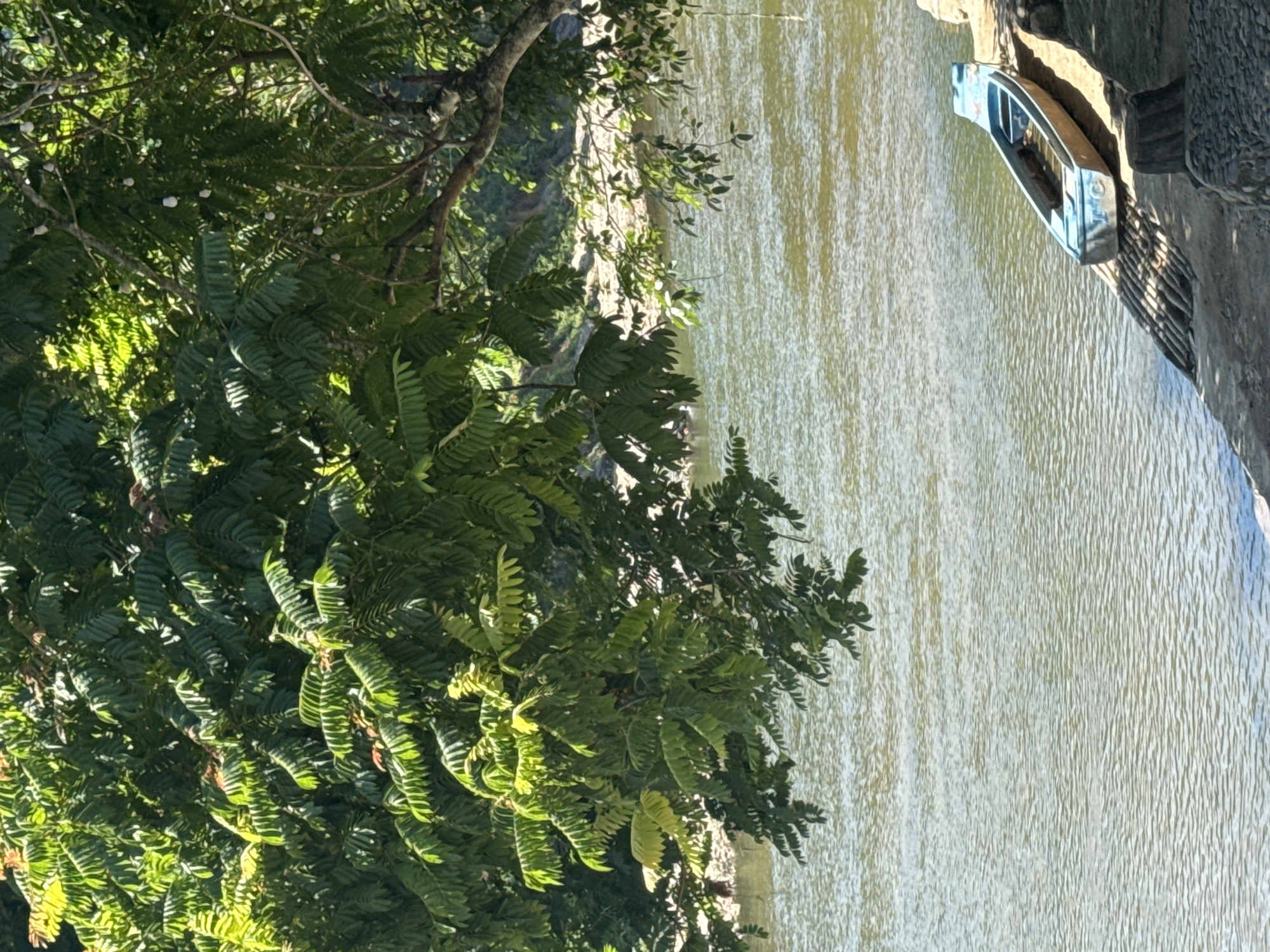 Rustic riverside park in Nam Khanh Vinh, full of stone sculptures and greenery