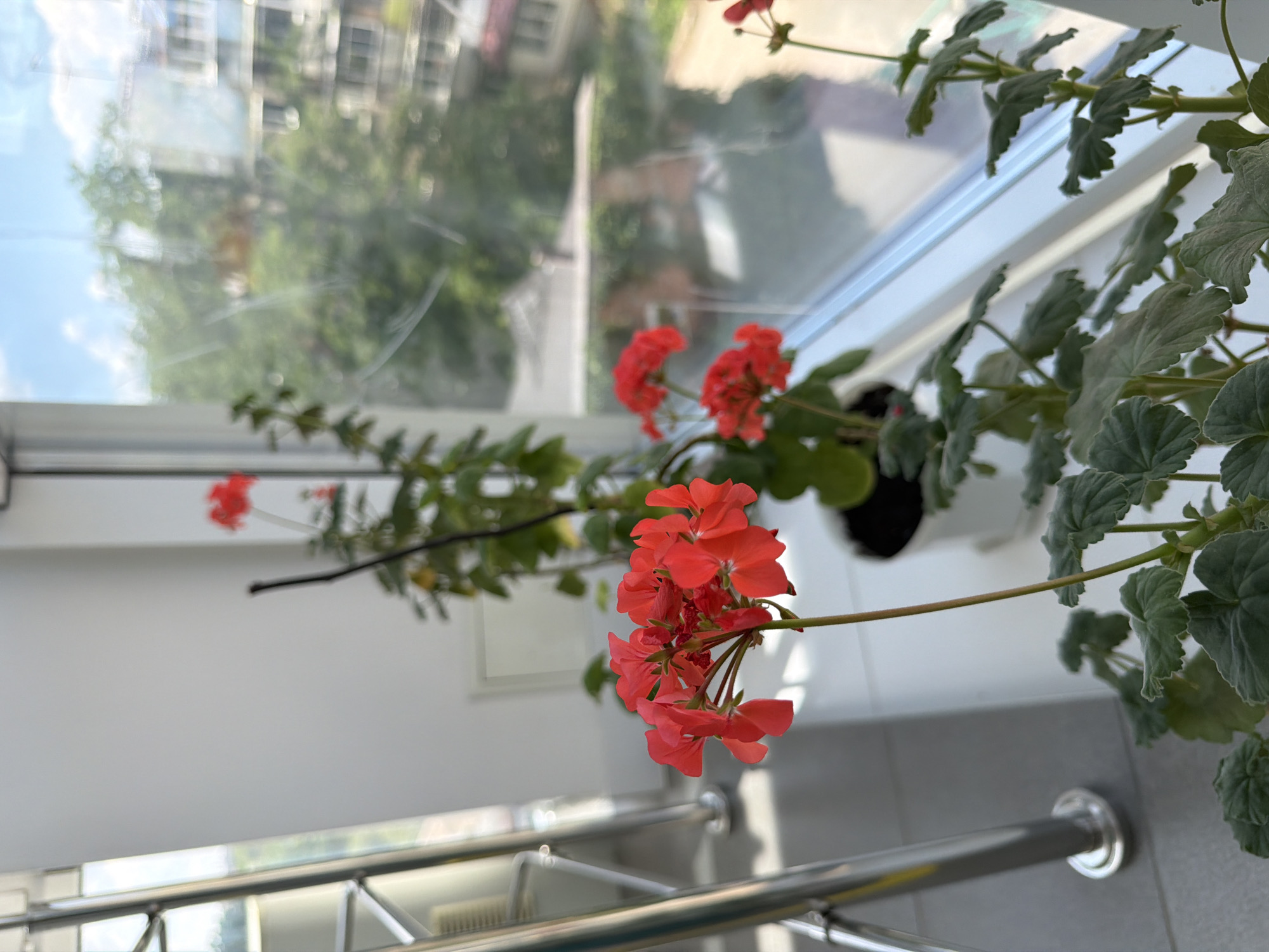 Casual daily moments documented across indoor and outdoor settings