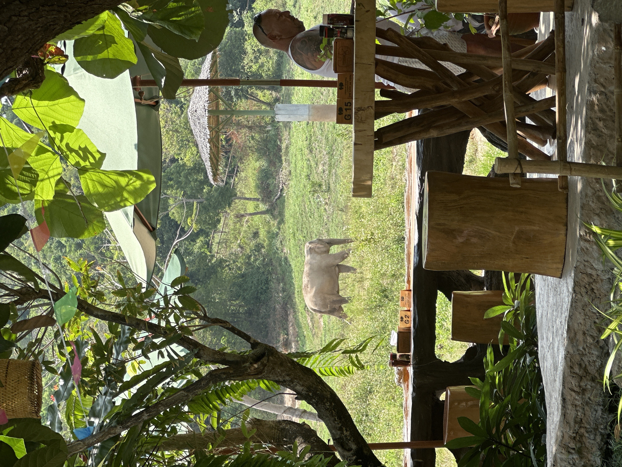 Morning landscape view captured from elevated Ko Samui vantage point