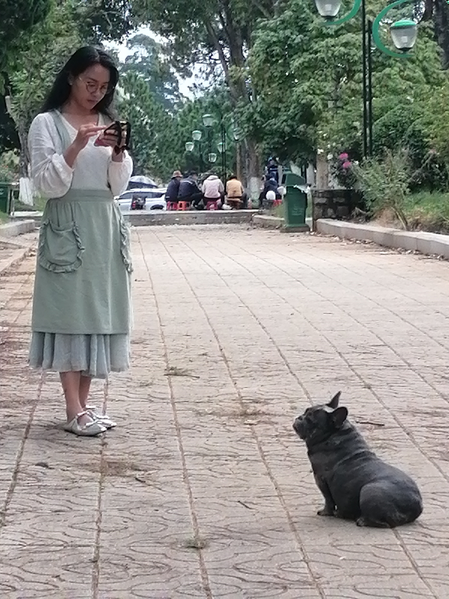 Morning life unfolds across Da Lat parks and streets