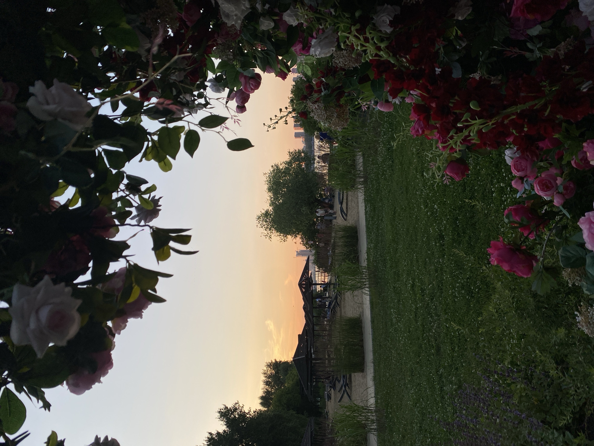 Summer evening at Khimki Reservoir: beach, gardens, and open-air cinema