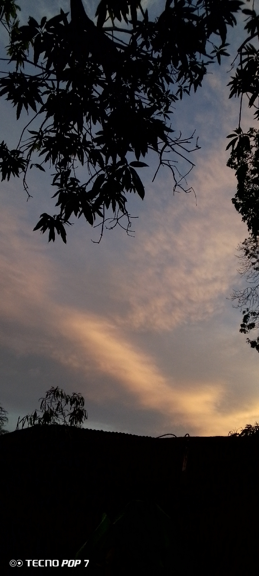 Twilight skies over Altagracia, framed by trees and rooftops
