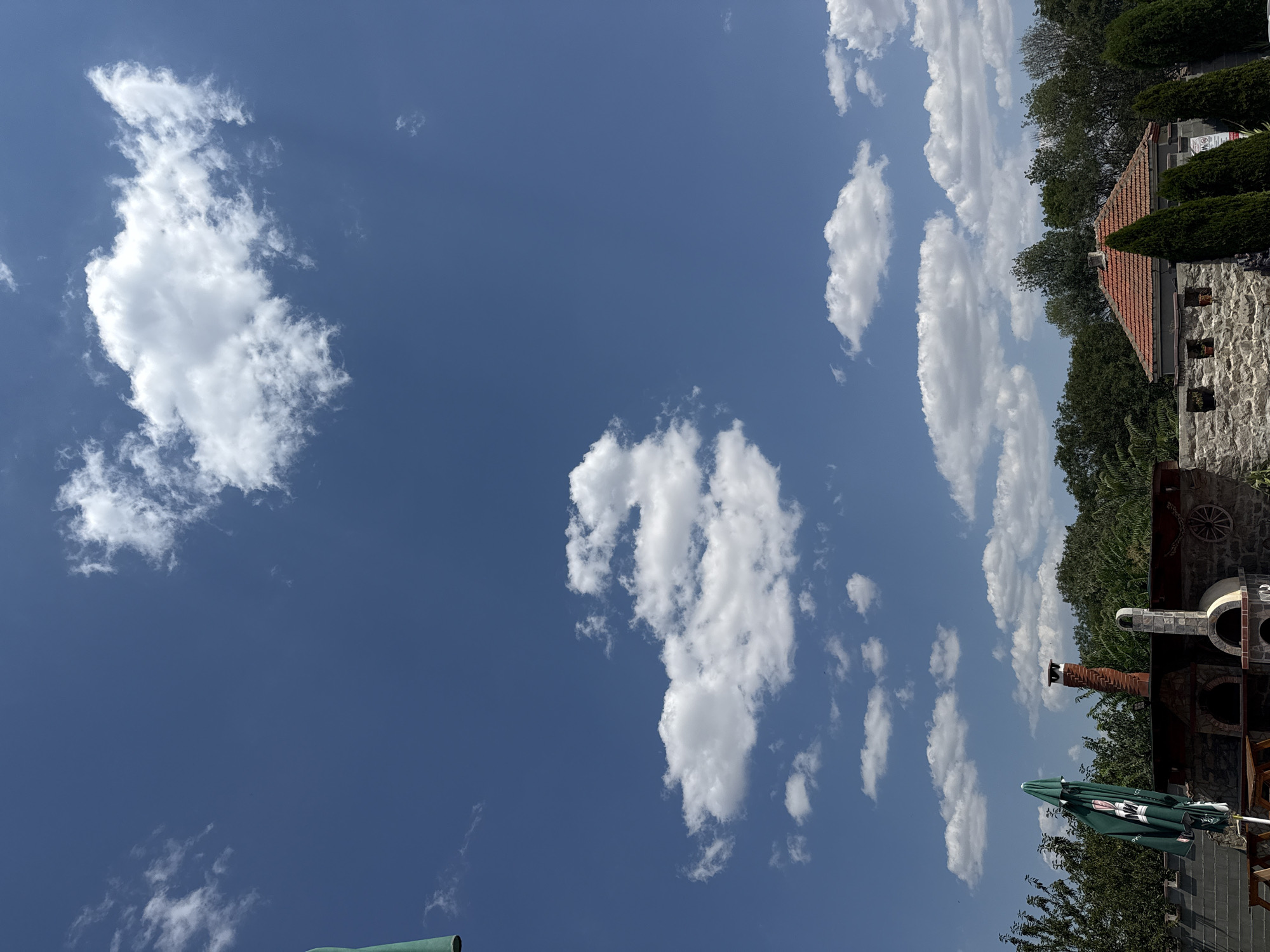 Lazy summer pool day in rural Bulgaria, stork included