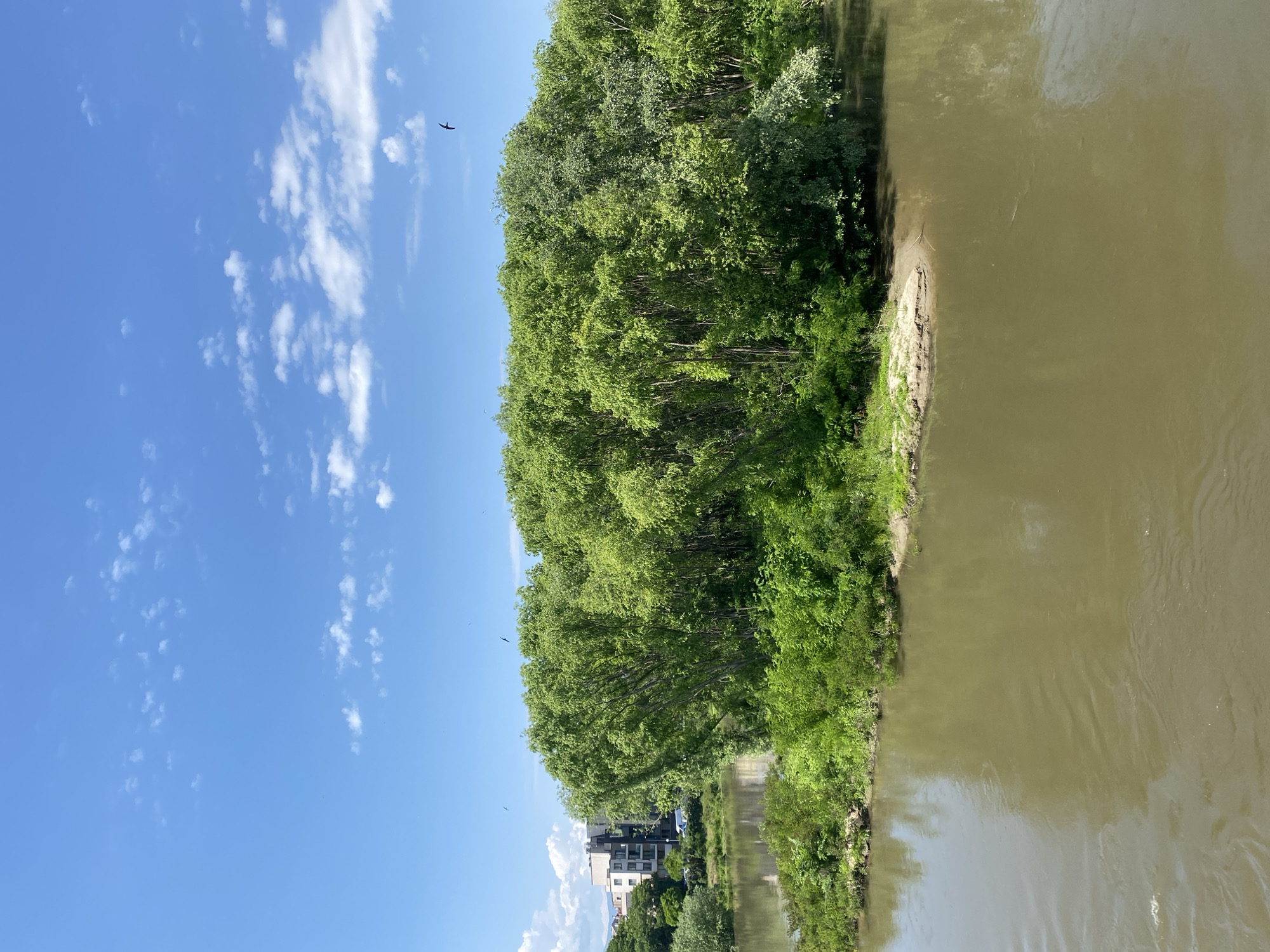 River scene with vegetation documented in Plovdiv, Bulgaria