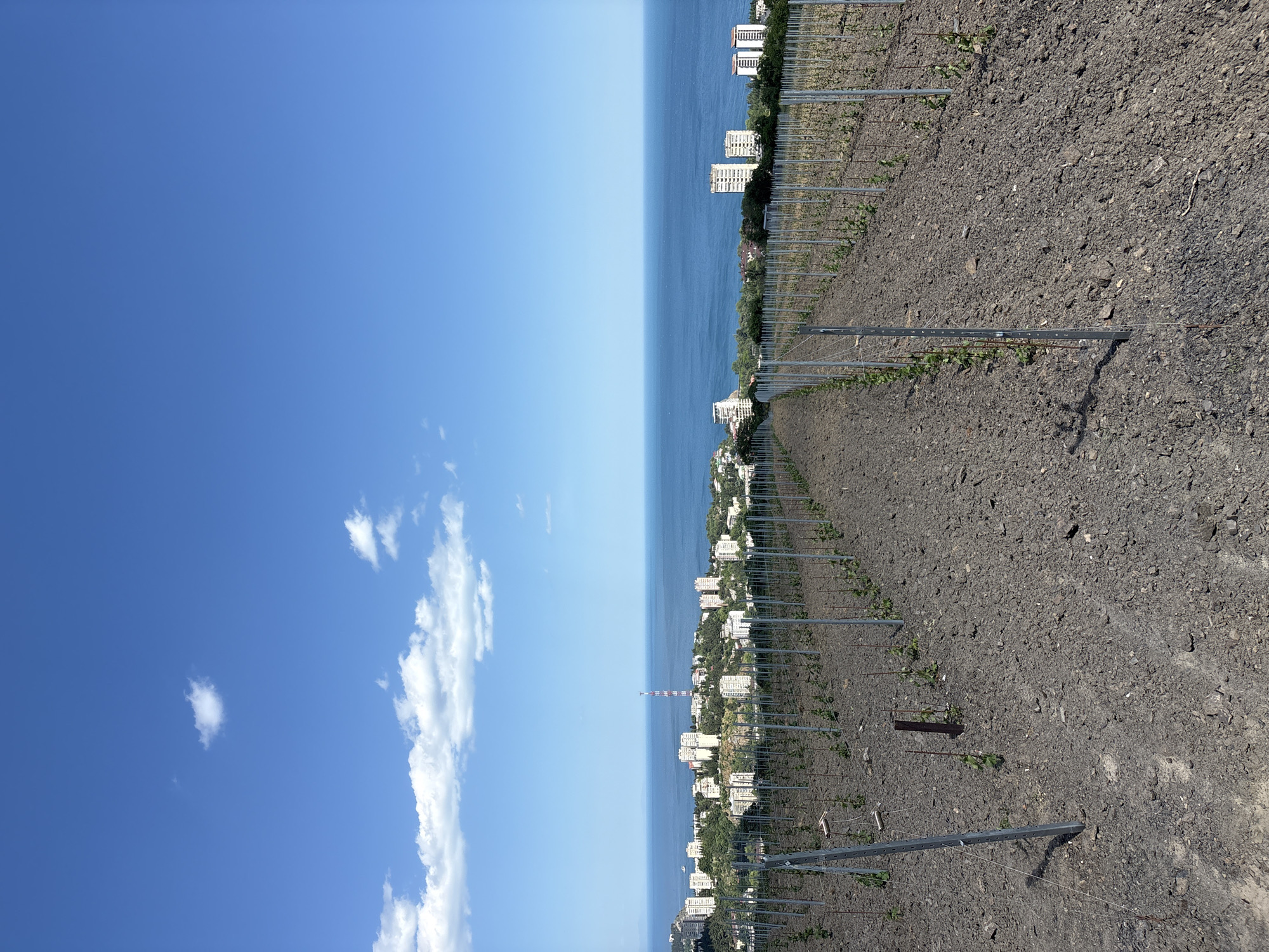 Quiet morning documented in Ukrainian coastal vineyard town