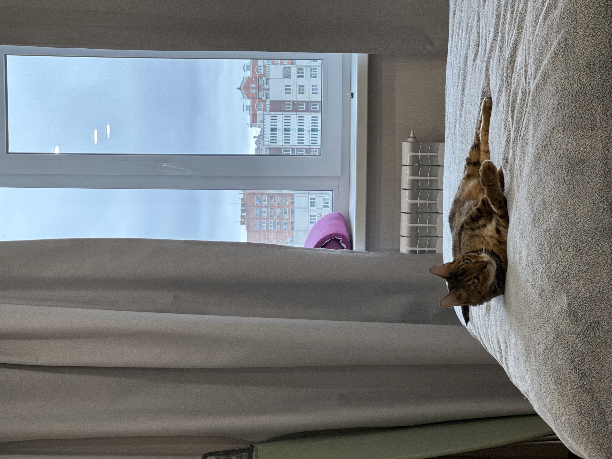 Woman and tabby cat share quiet indoor moments