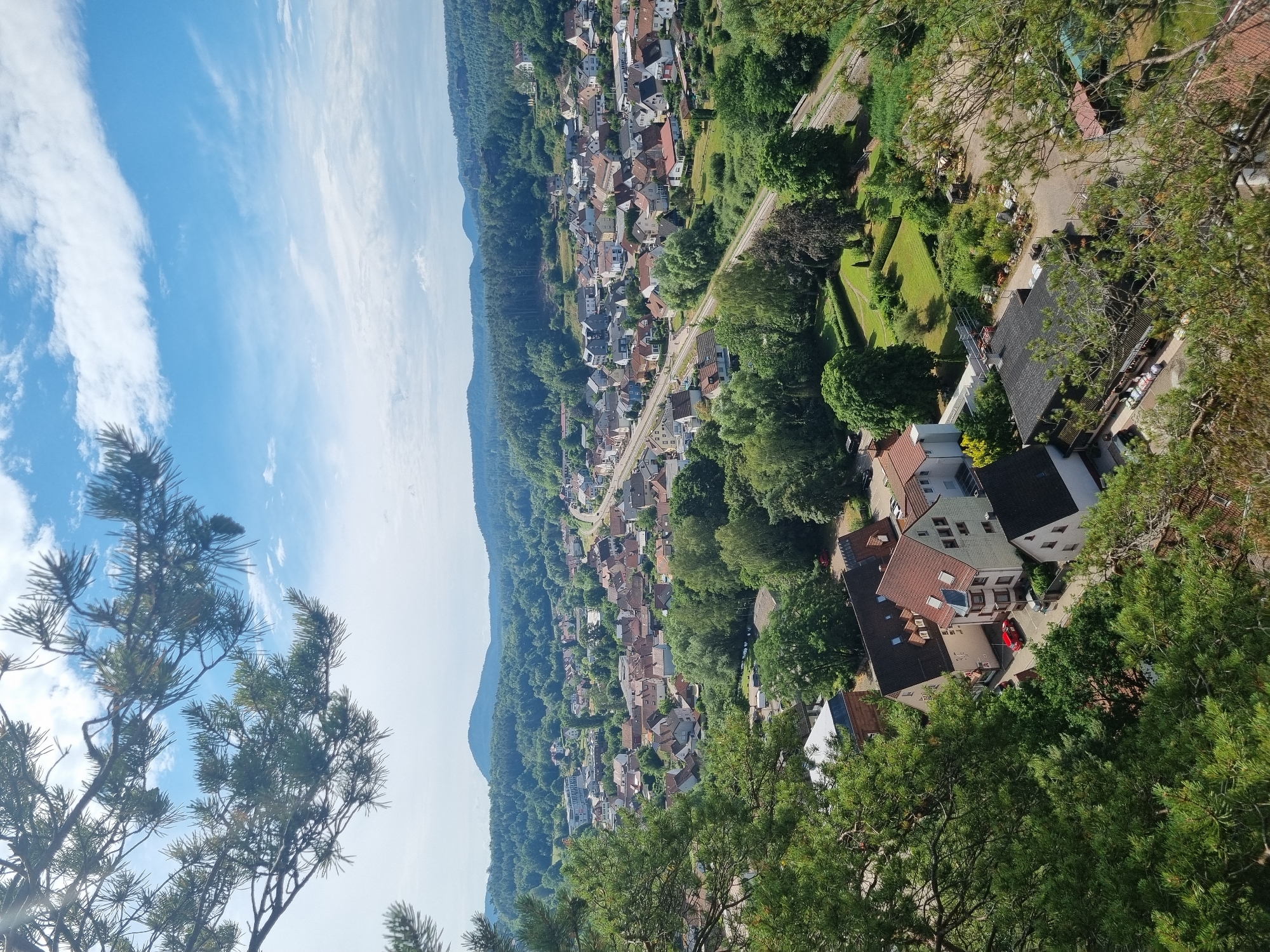 Morning hike through Dahn's forested trails and rocky overlooks