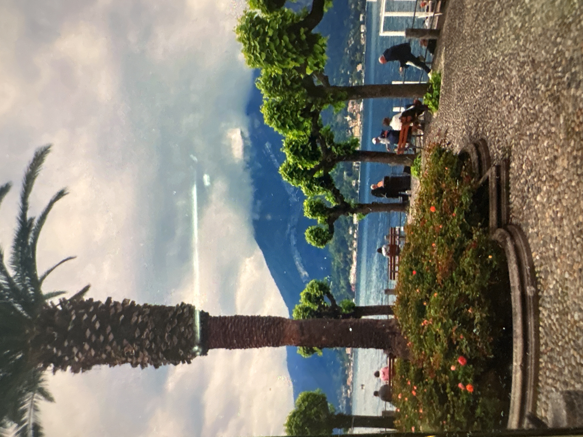 Coastal promenade scenes documented by witnesses during midday