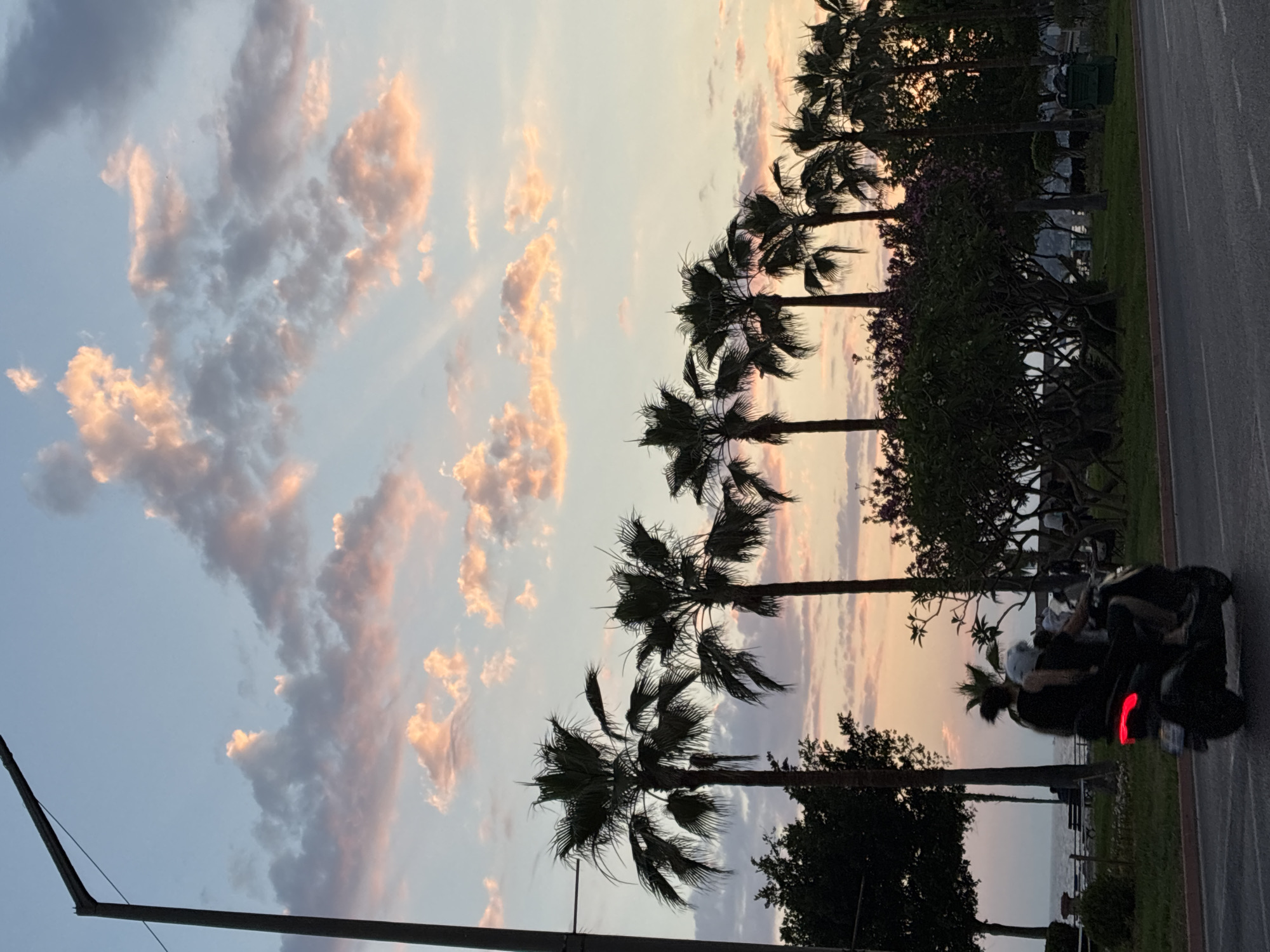 Sunset stroll along Alanya's palm-lined coastal promenade