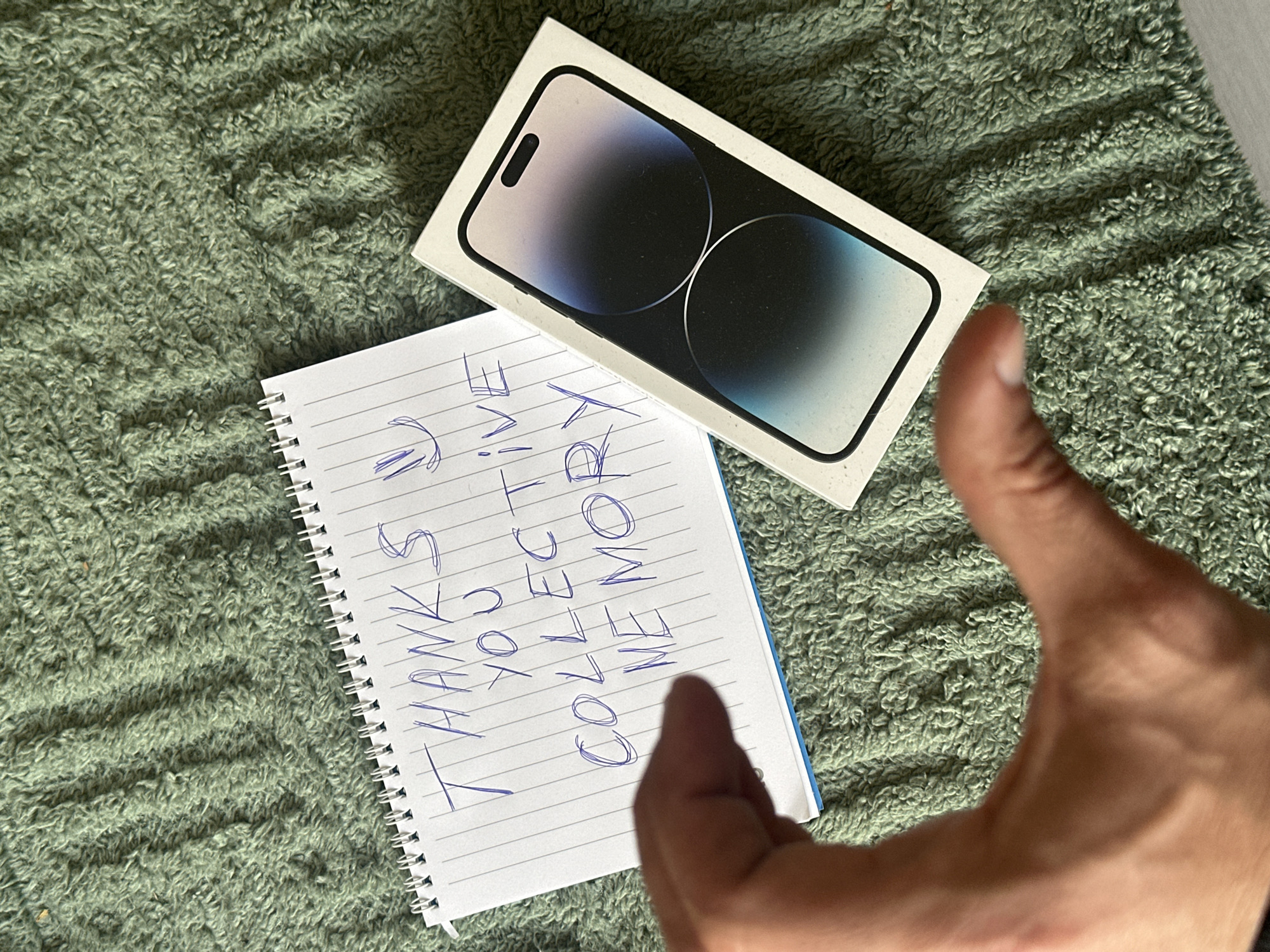 Morning moments captured in Slavyani: iPhone unboxing, tree gazing