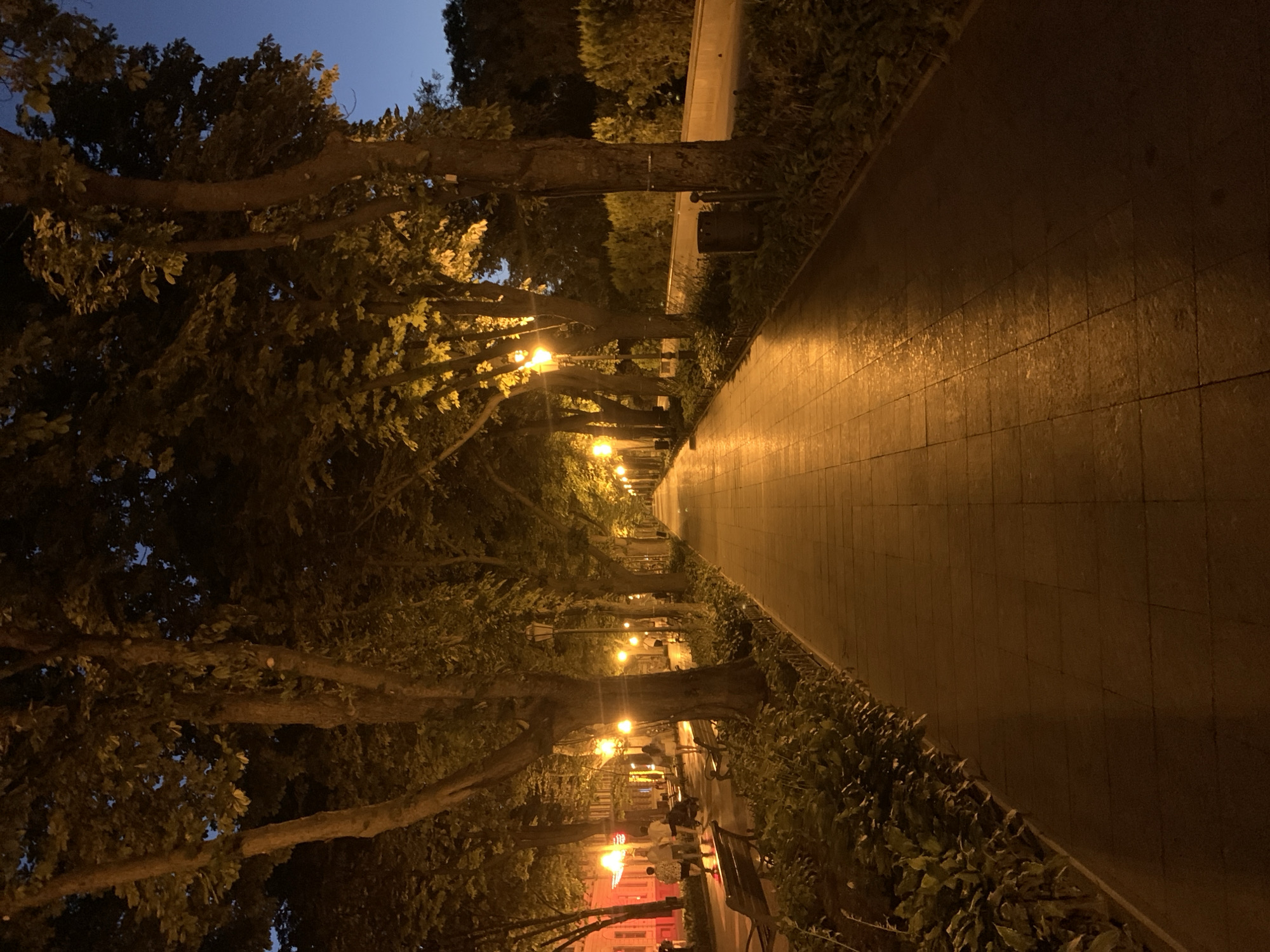 Evening dining and city strolling in Odesa, Ukraine