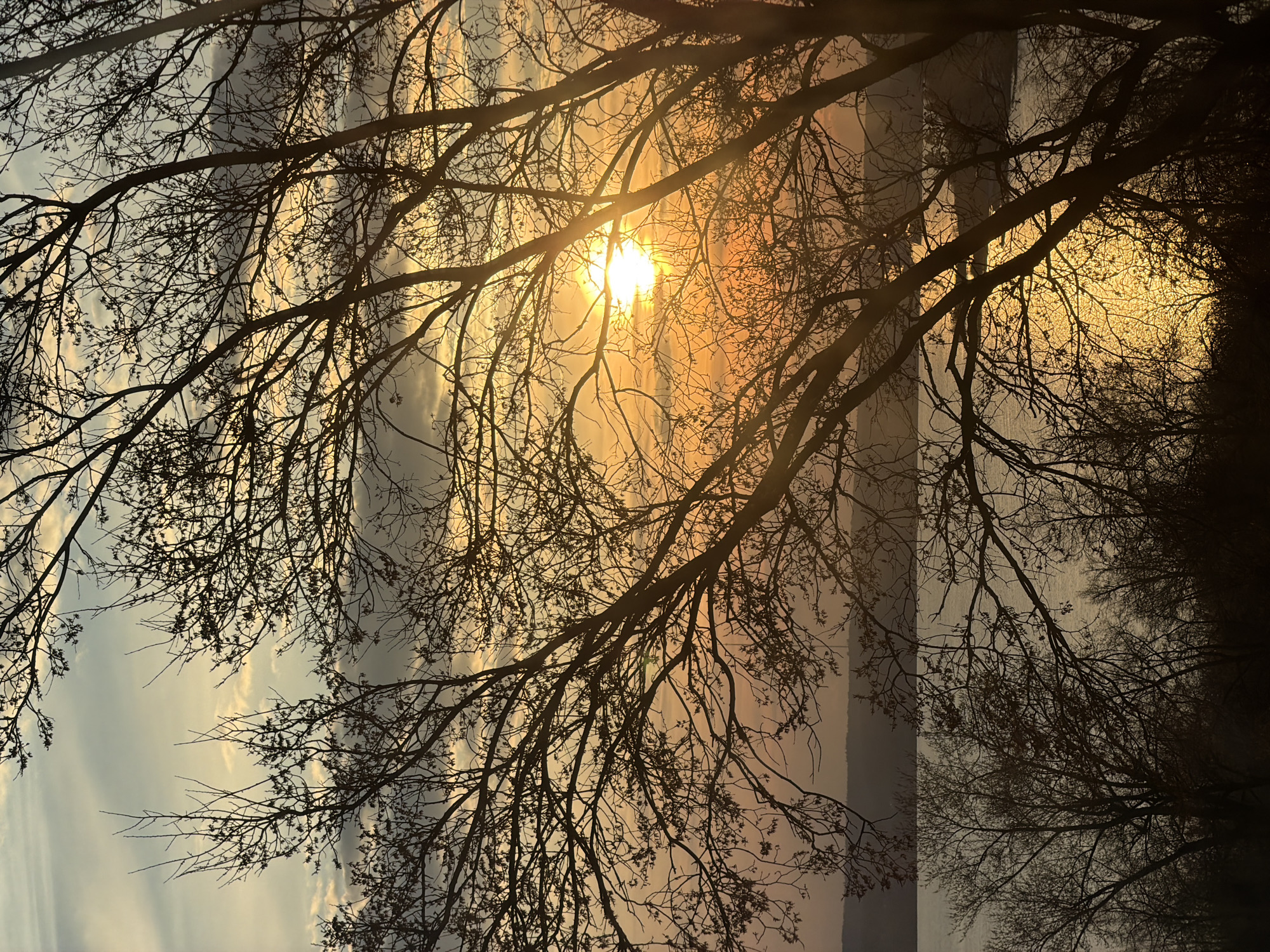 Dramatic sunset captured over Izhevsk Pond with silhouetted trees