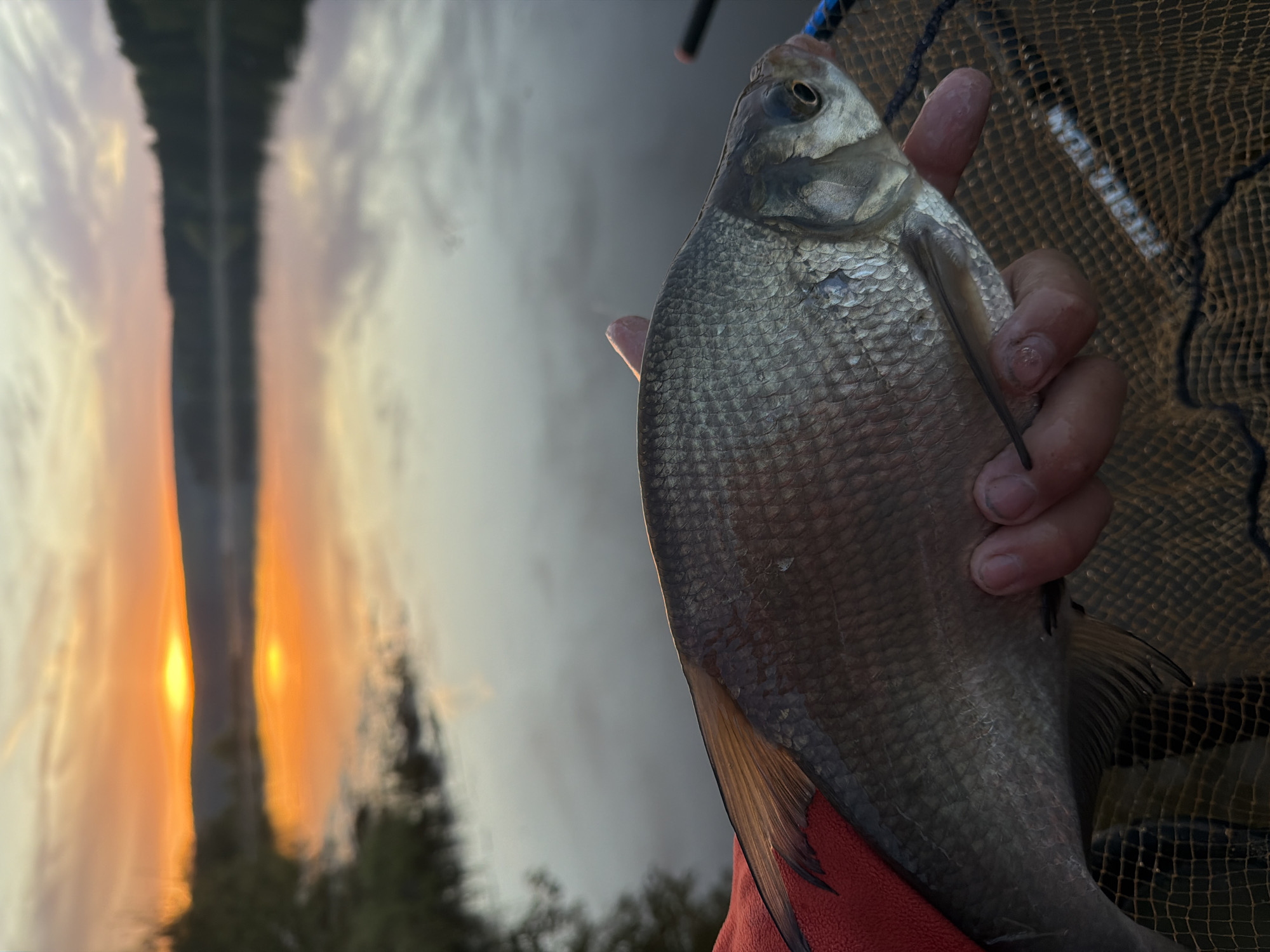 Successful fishing session yields multiple catches in Chaykovsky, Russia