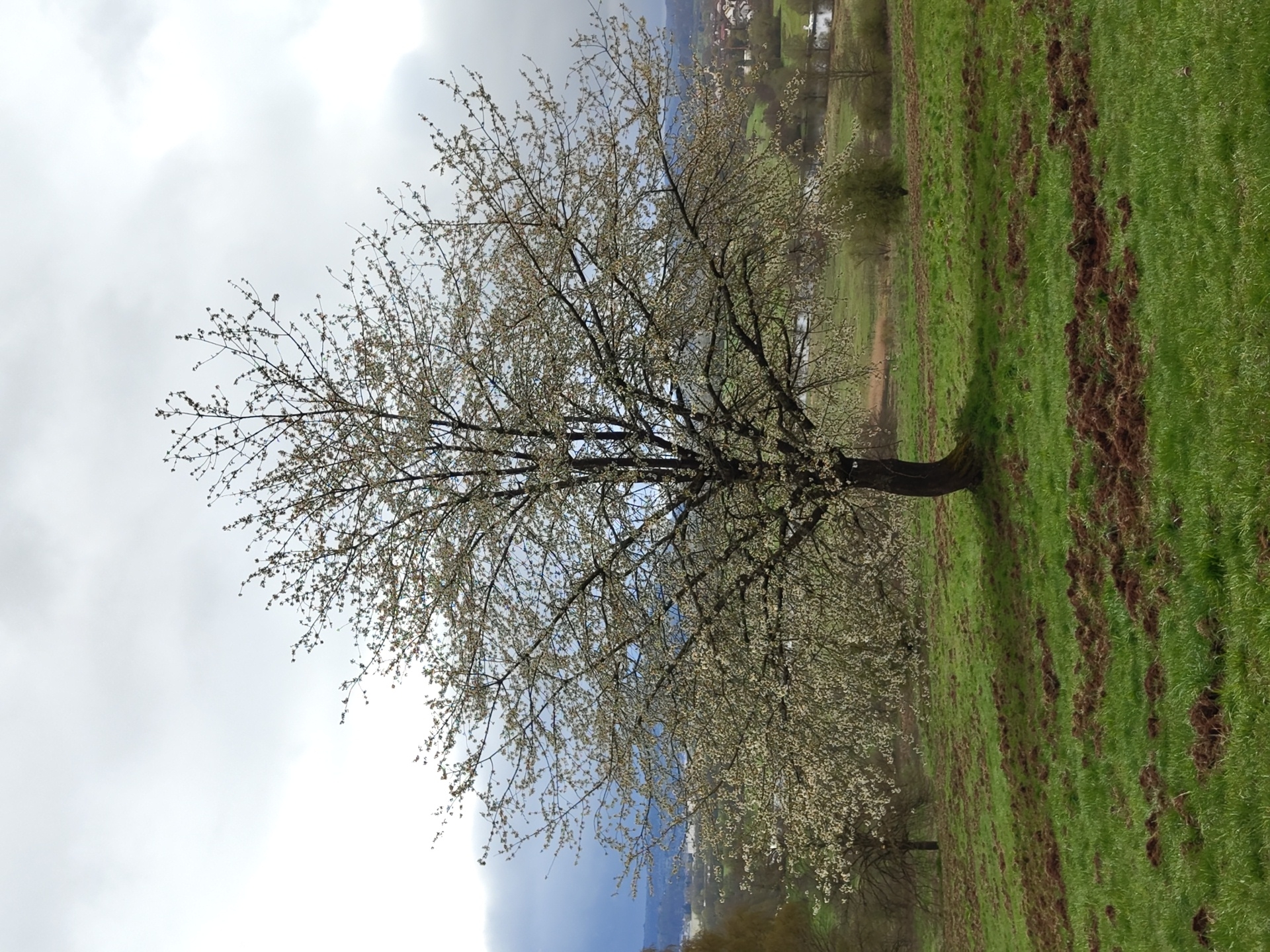 Spring walk documented through Mettlach countryside and historical sites