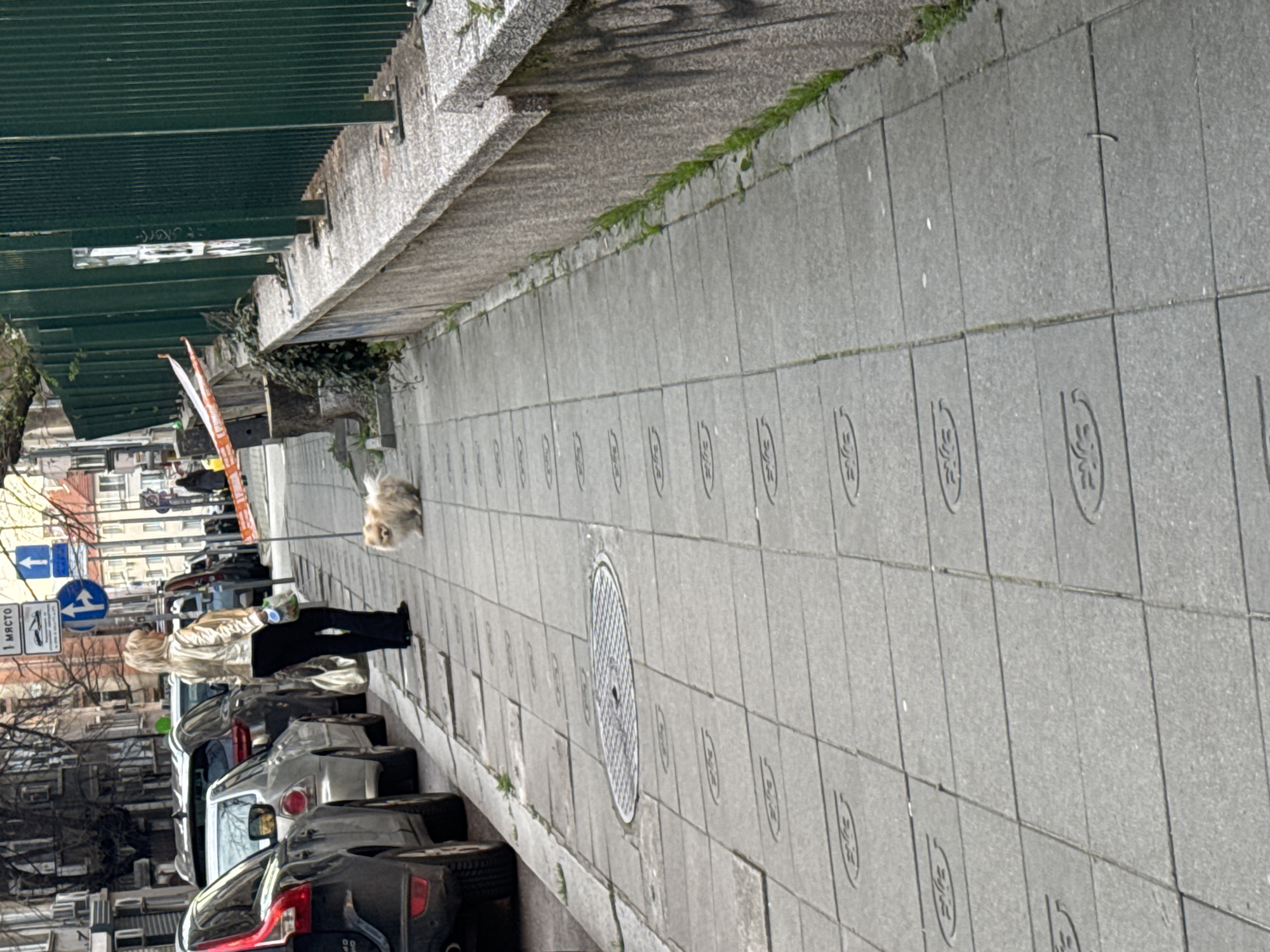 Woman walks small dog on decorative sidewalk in Sofia